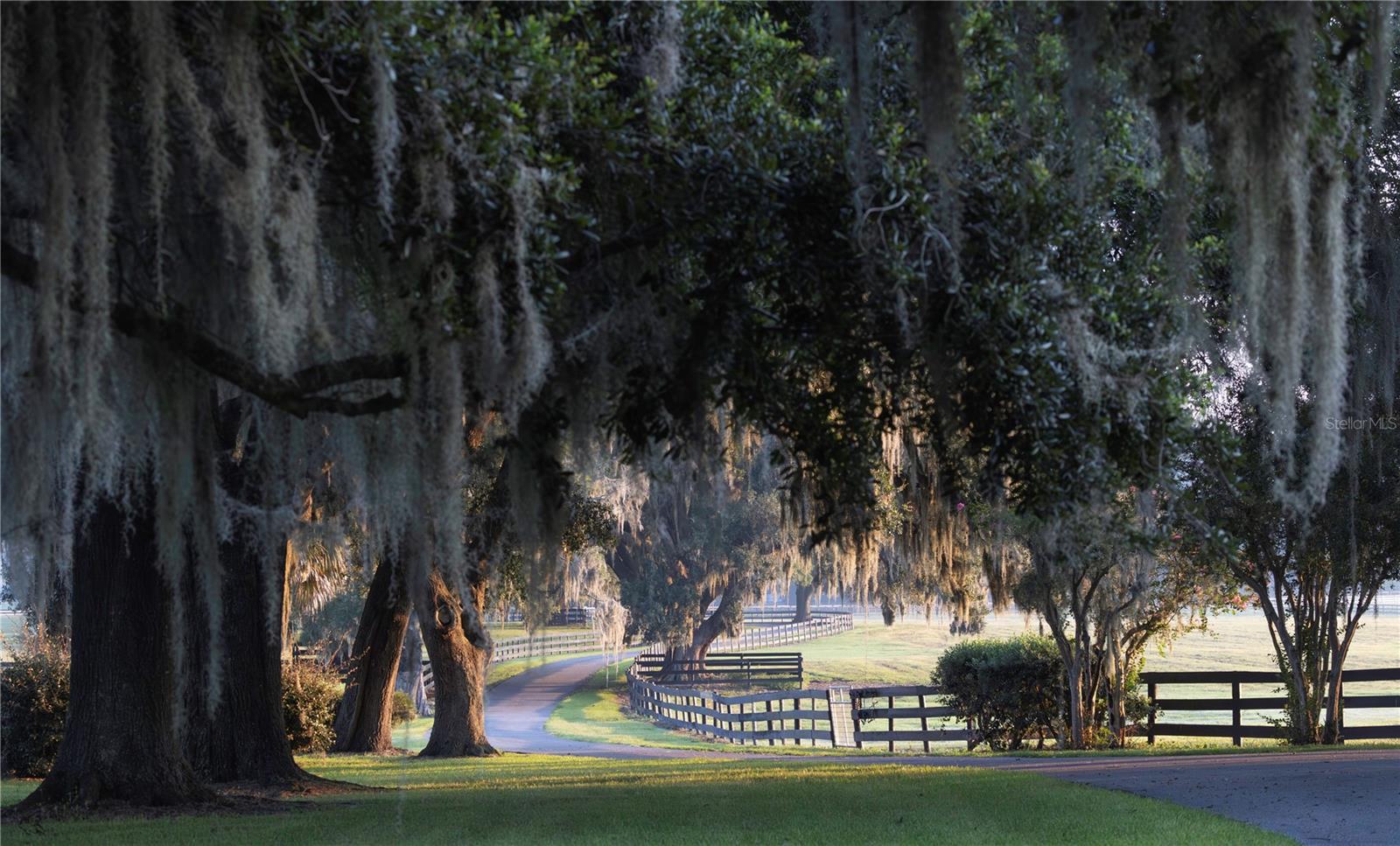 OM715626 Property Photo