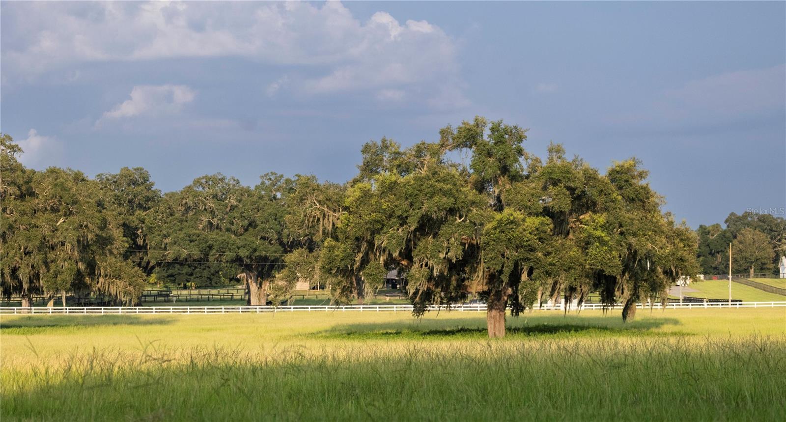 OM715626 Property Photo