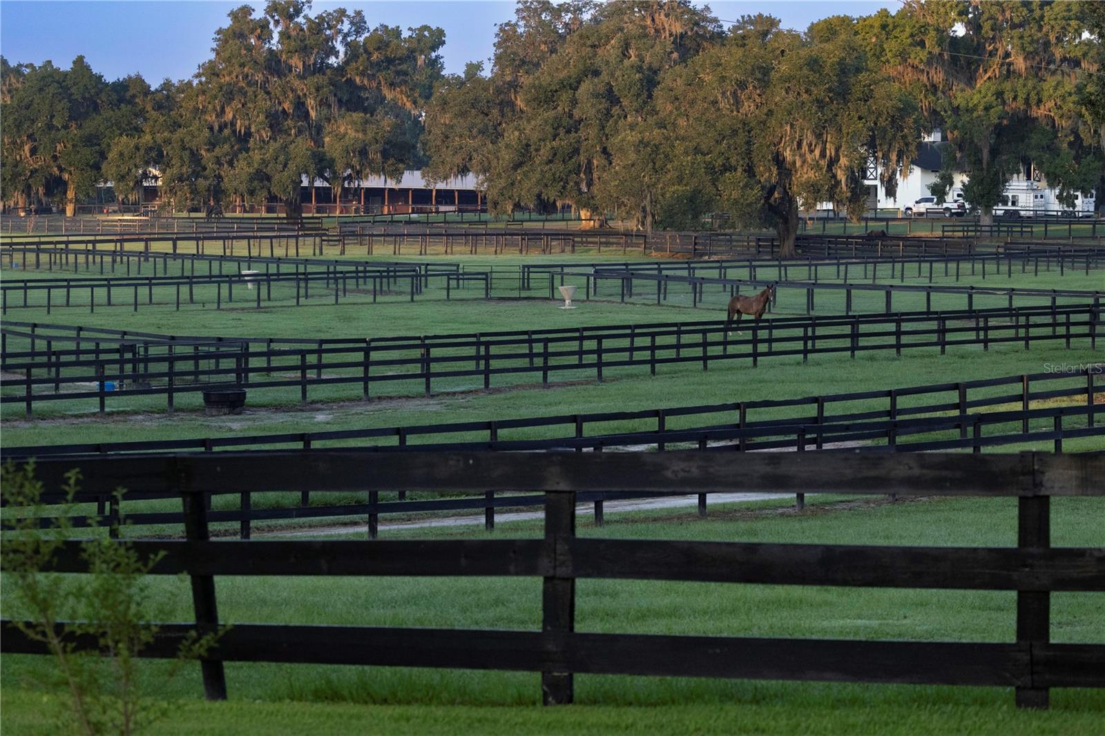 OM715626 Property Photo