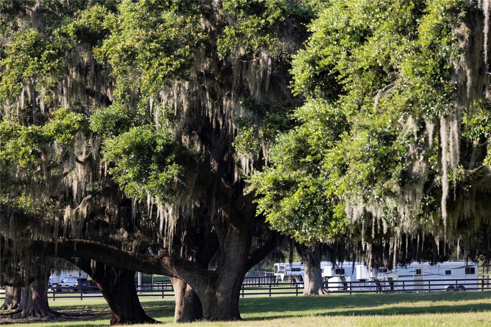 OM715626 Property Photo