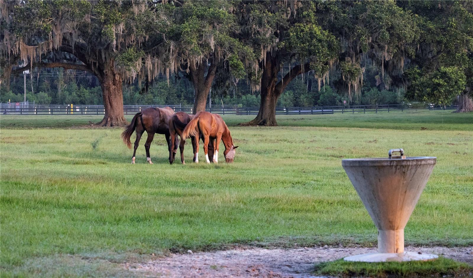 OM715626 Property Photo