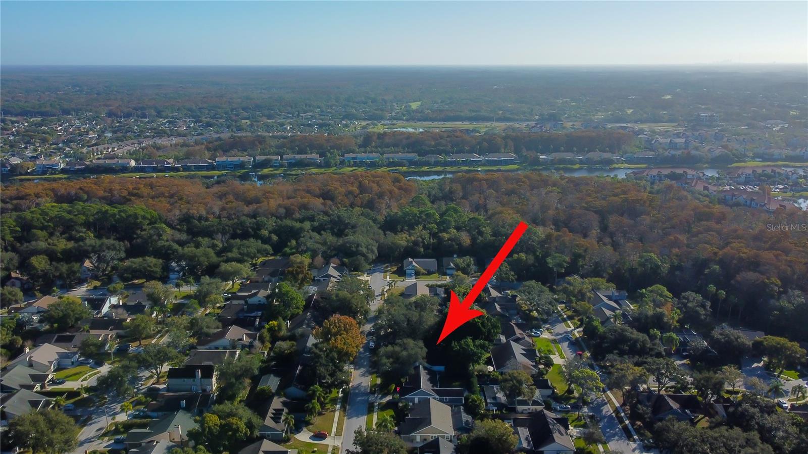 62. Aerial View Shows Lake Tarpon, Upper Tampa Bay & Adjoining Communities + Lots of TREES!!