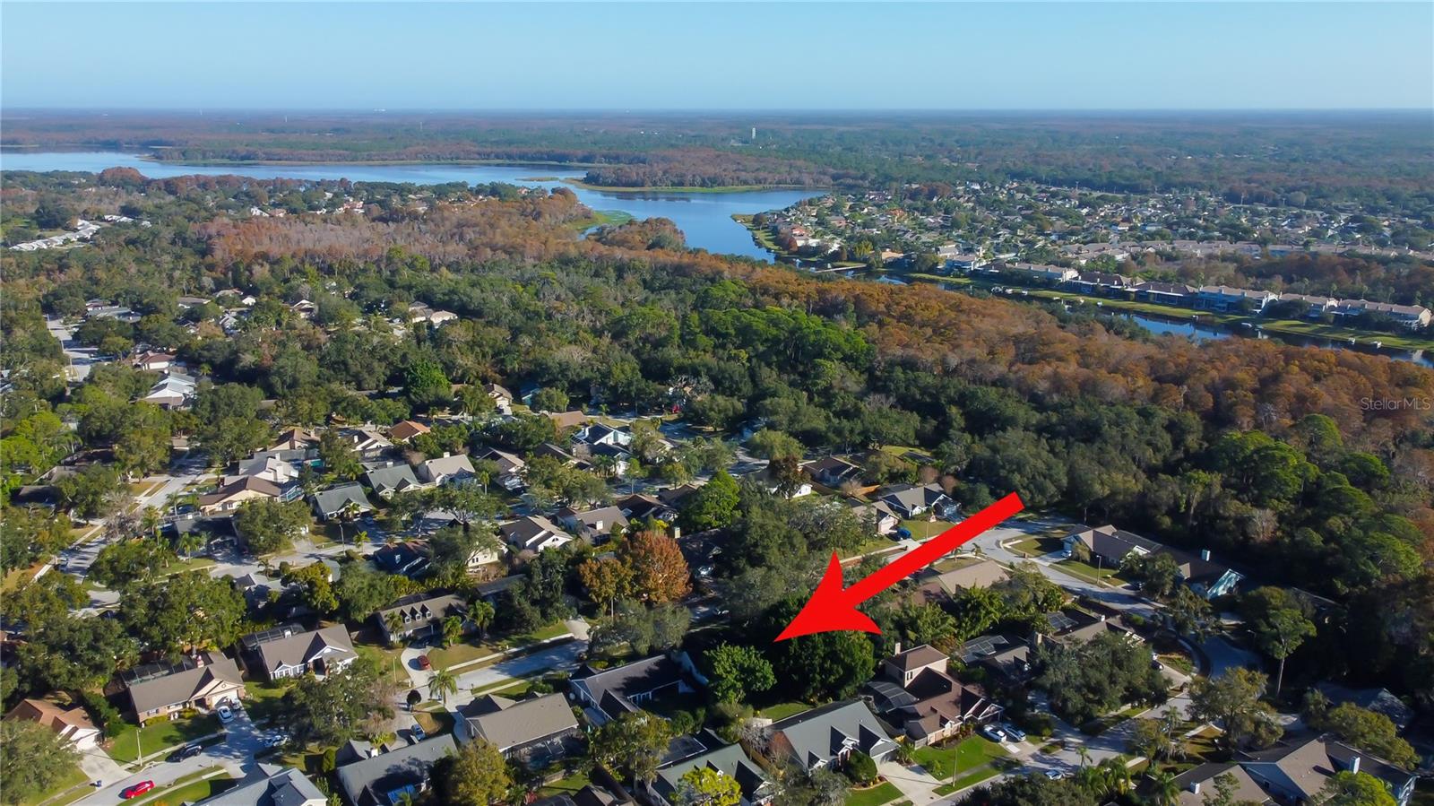 61. Aerial View Shows Lake Tarpon, Upper Tampa Bay & Adjoining Communities + Lots of TREES!!