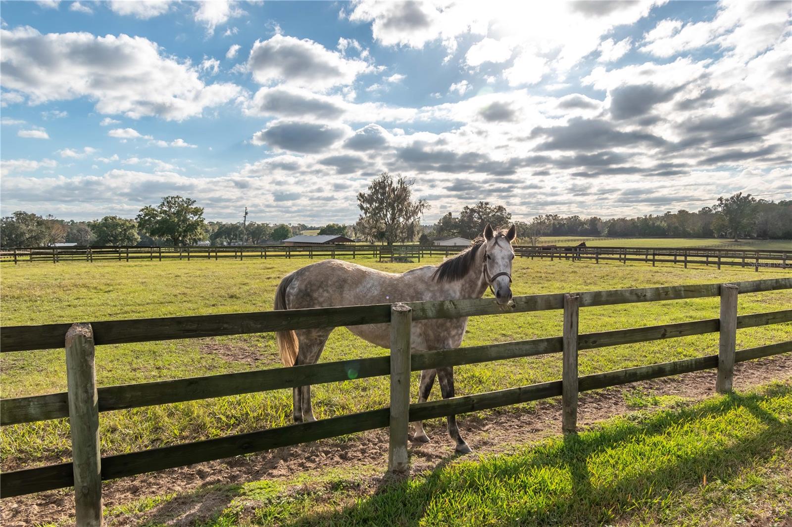 OM715665 Property Photo