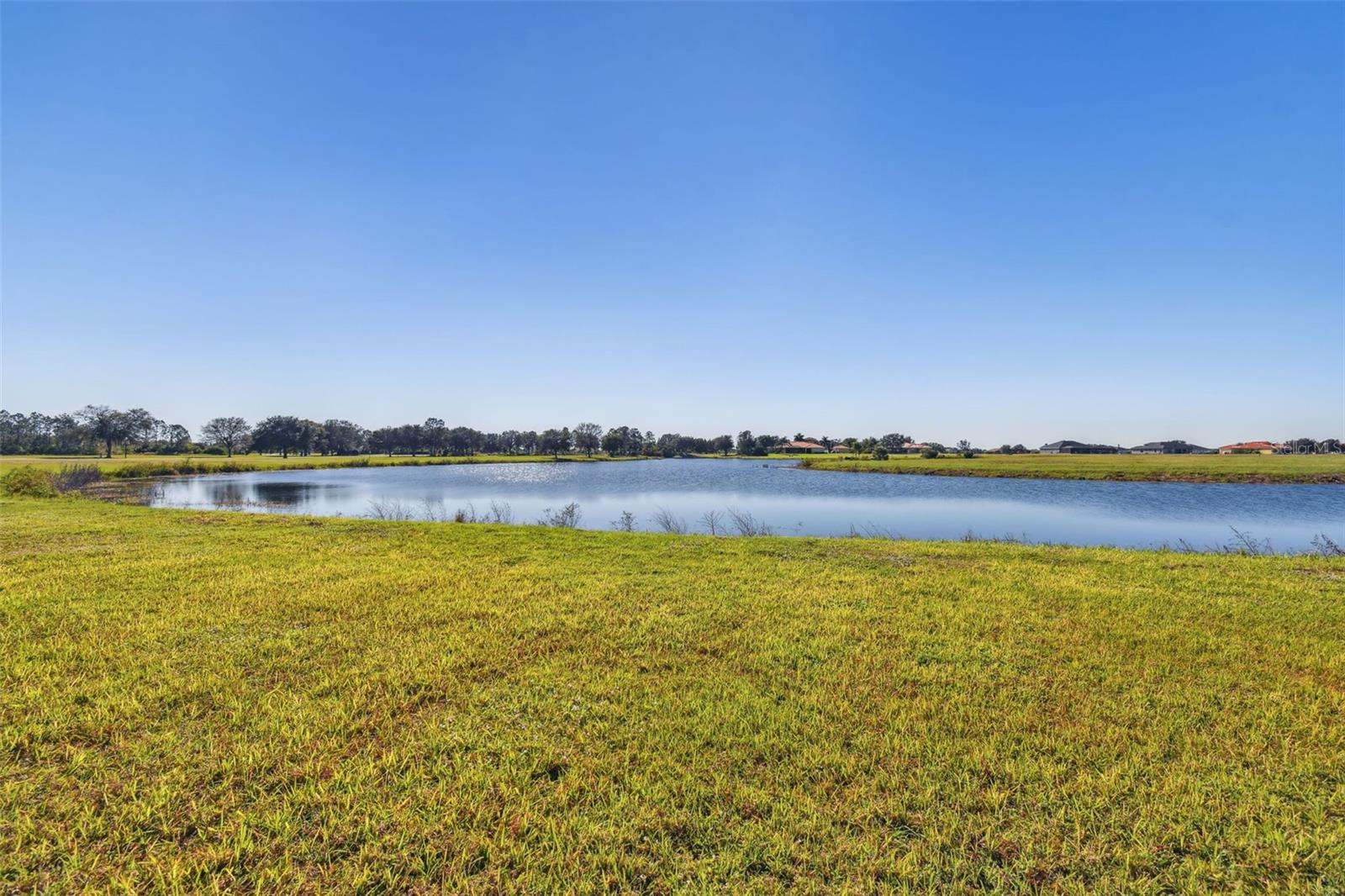 Lake View from Backyard