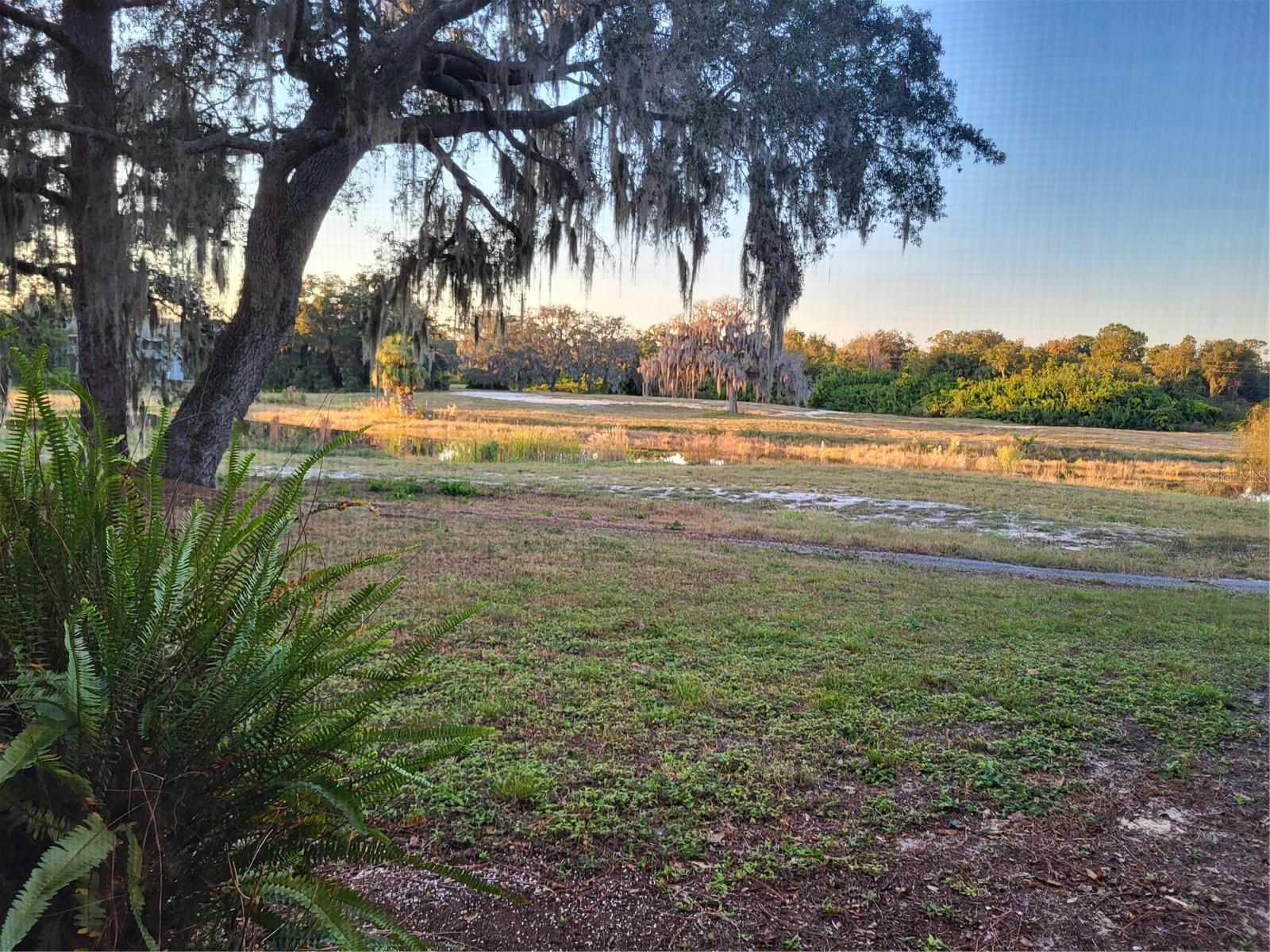 P4937375 Property Photo