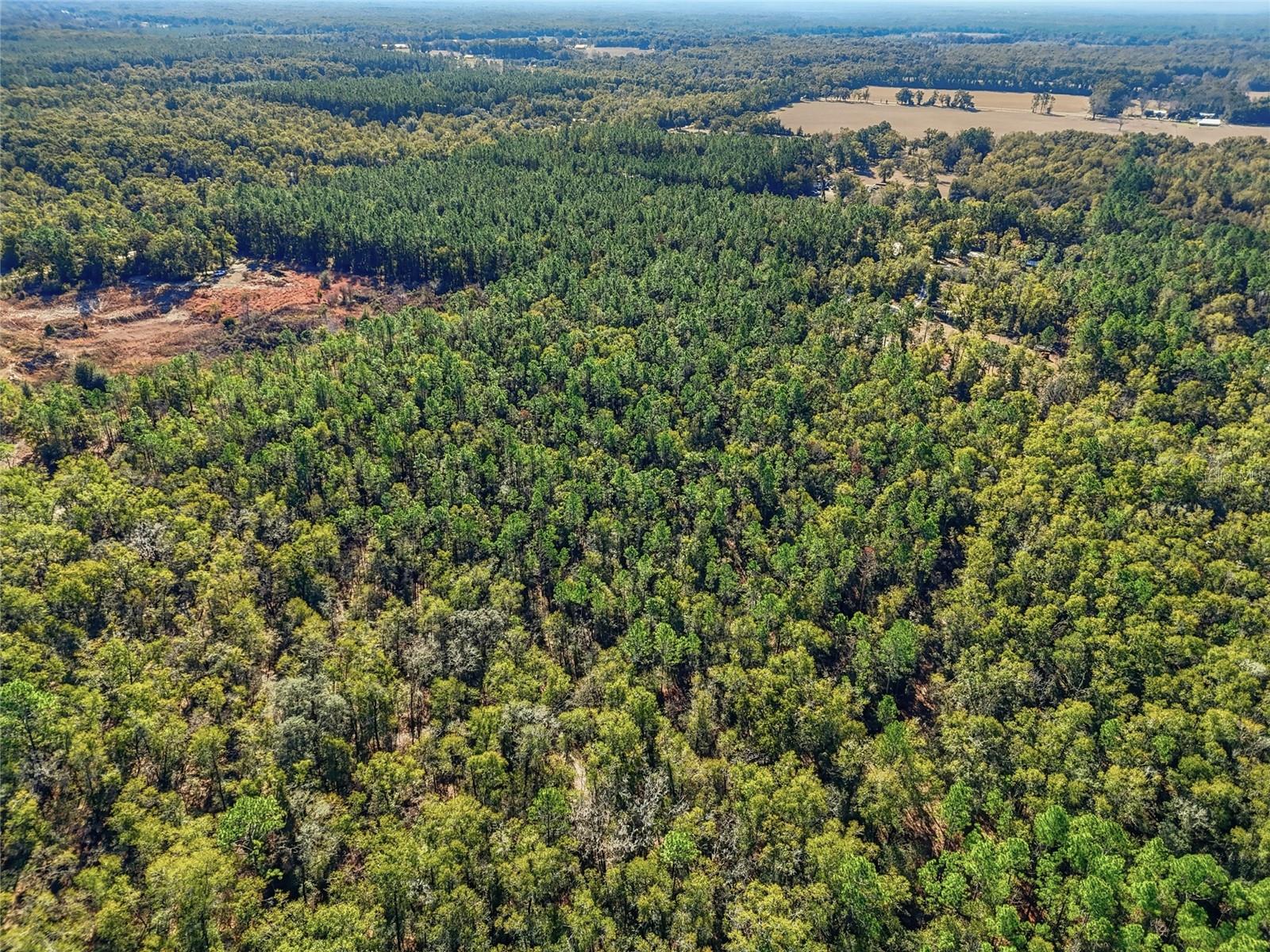 317 SW CUMBERLAND ST, FORT WHITE, FL, 32038