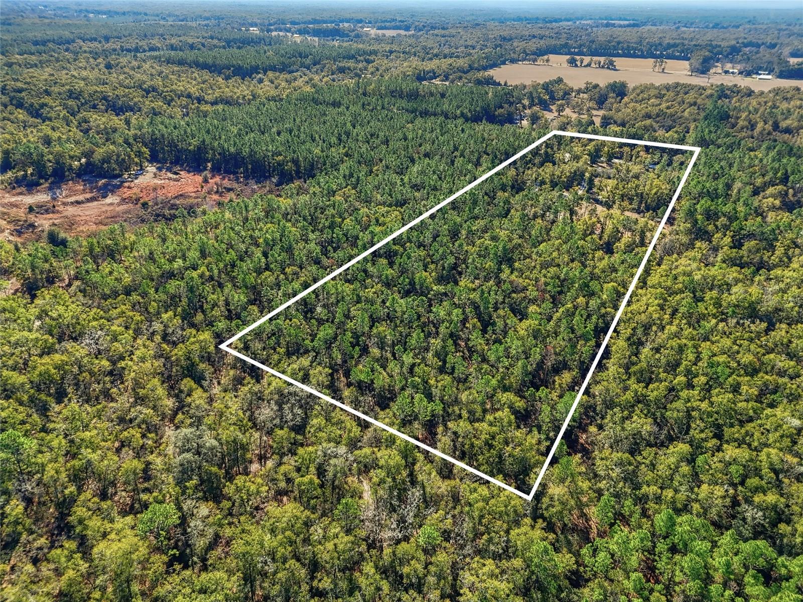 317 SW CUMBERLAND ST, FORT WHITE, FL, 32038