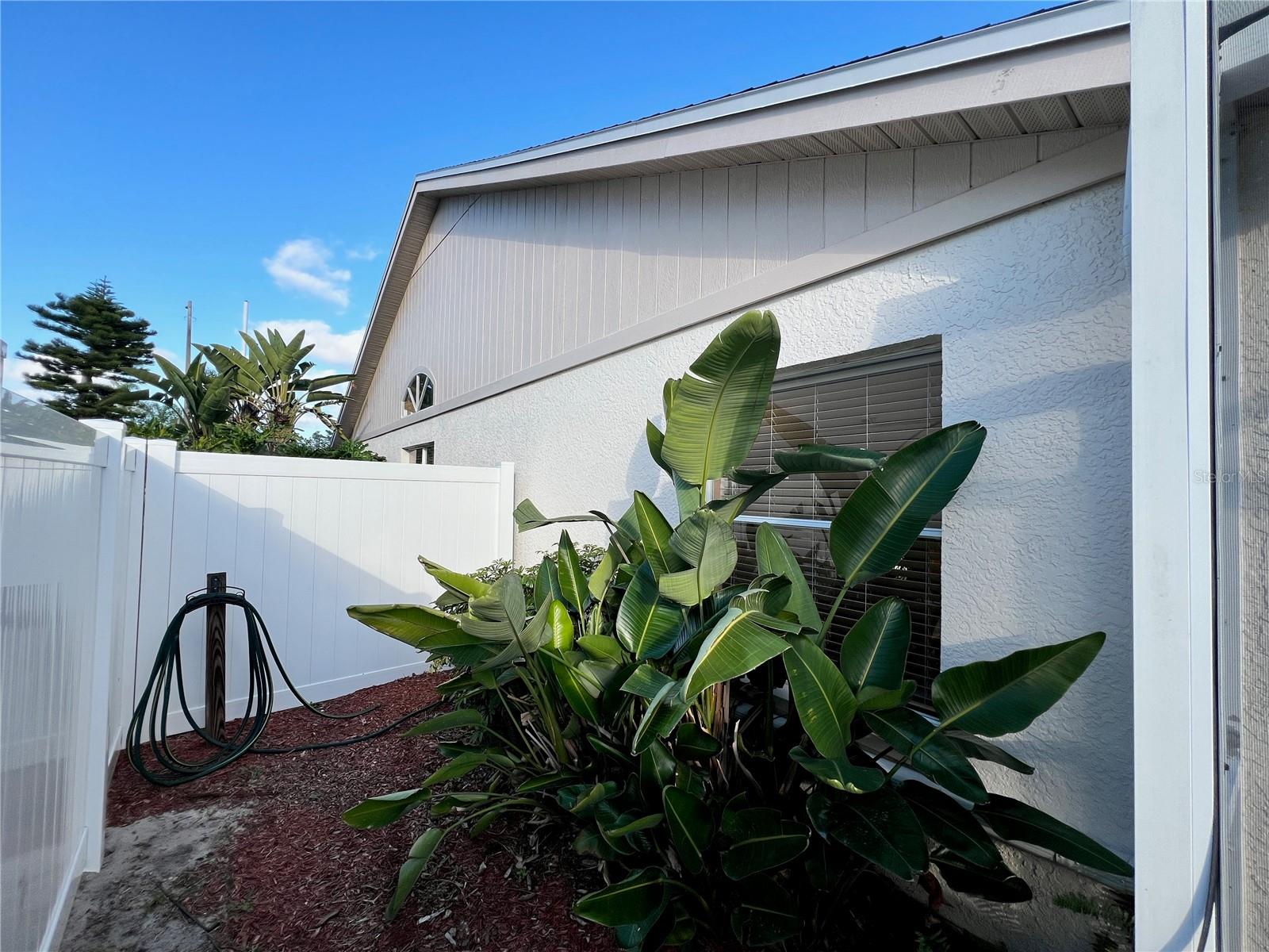 West elevation from rear of house.