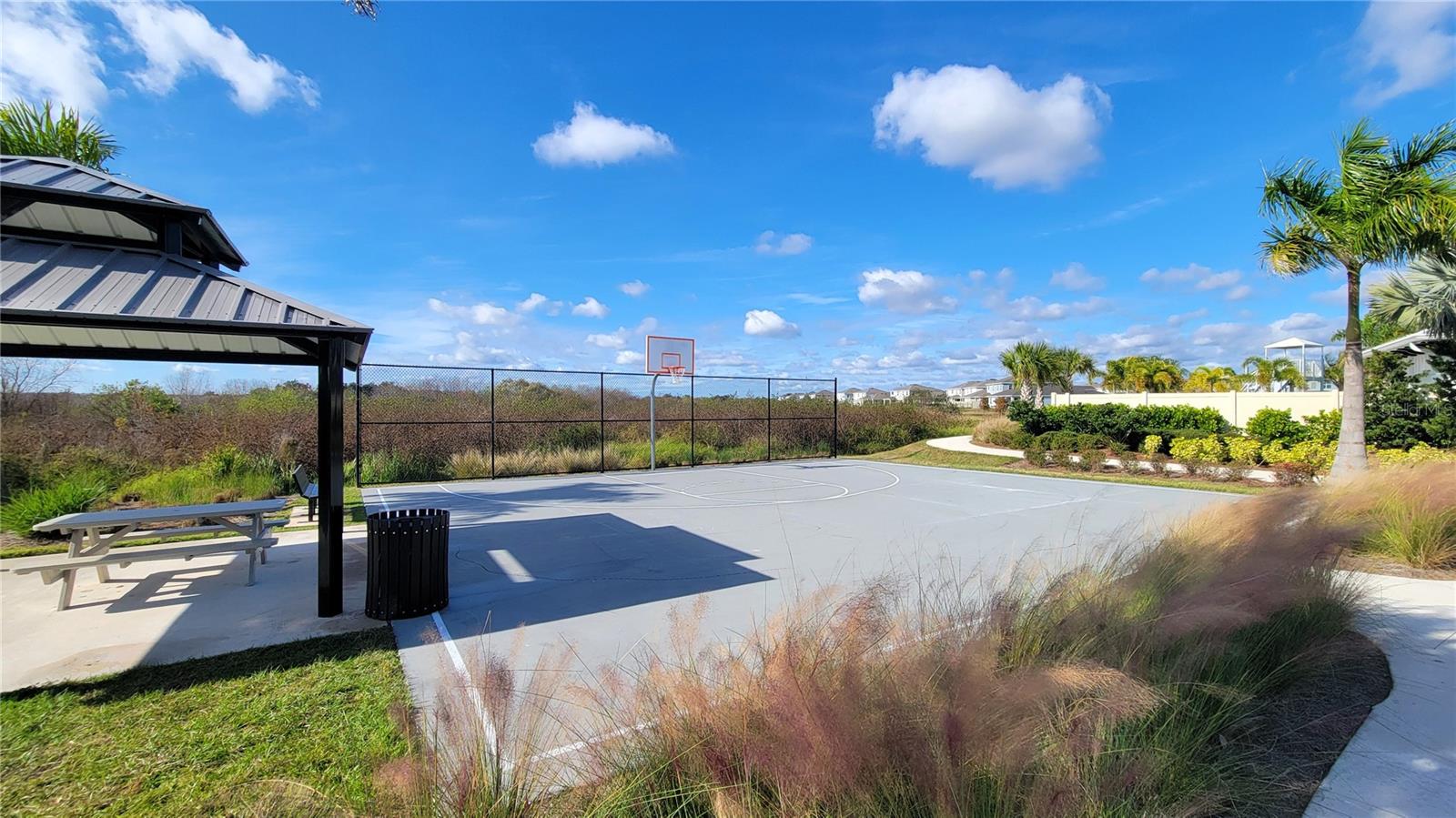 Watch the B-Ball game in the shade