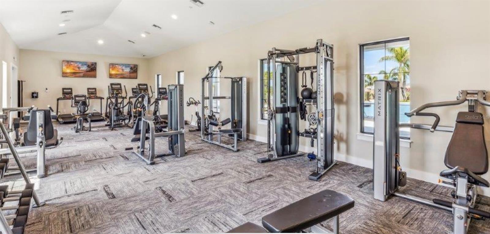 All the equipent you need to stay in shape