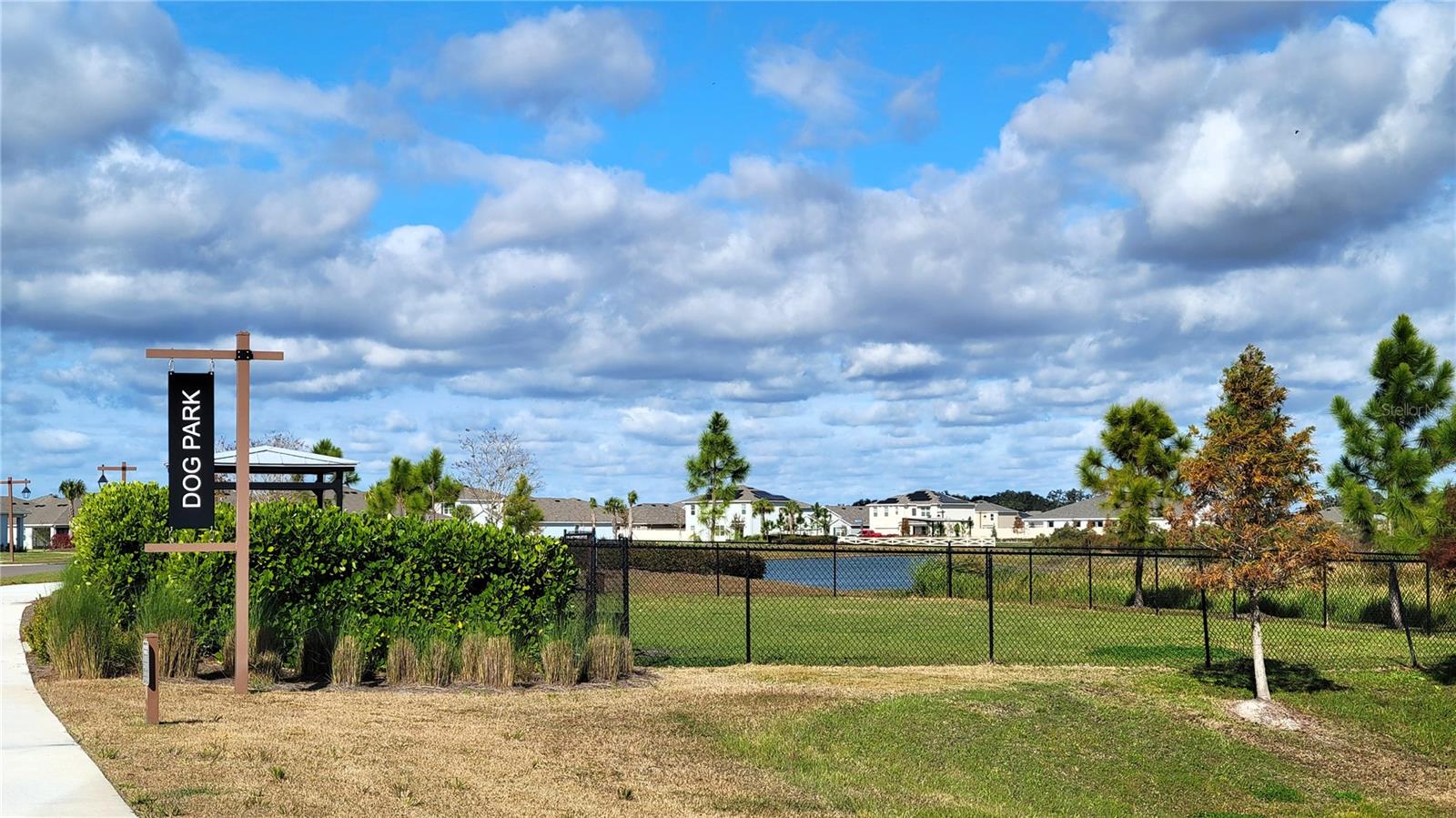 Dog park across street from Amenity Center