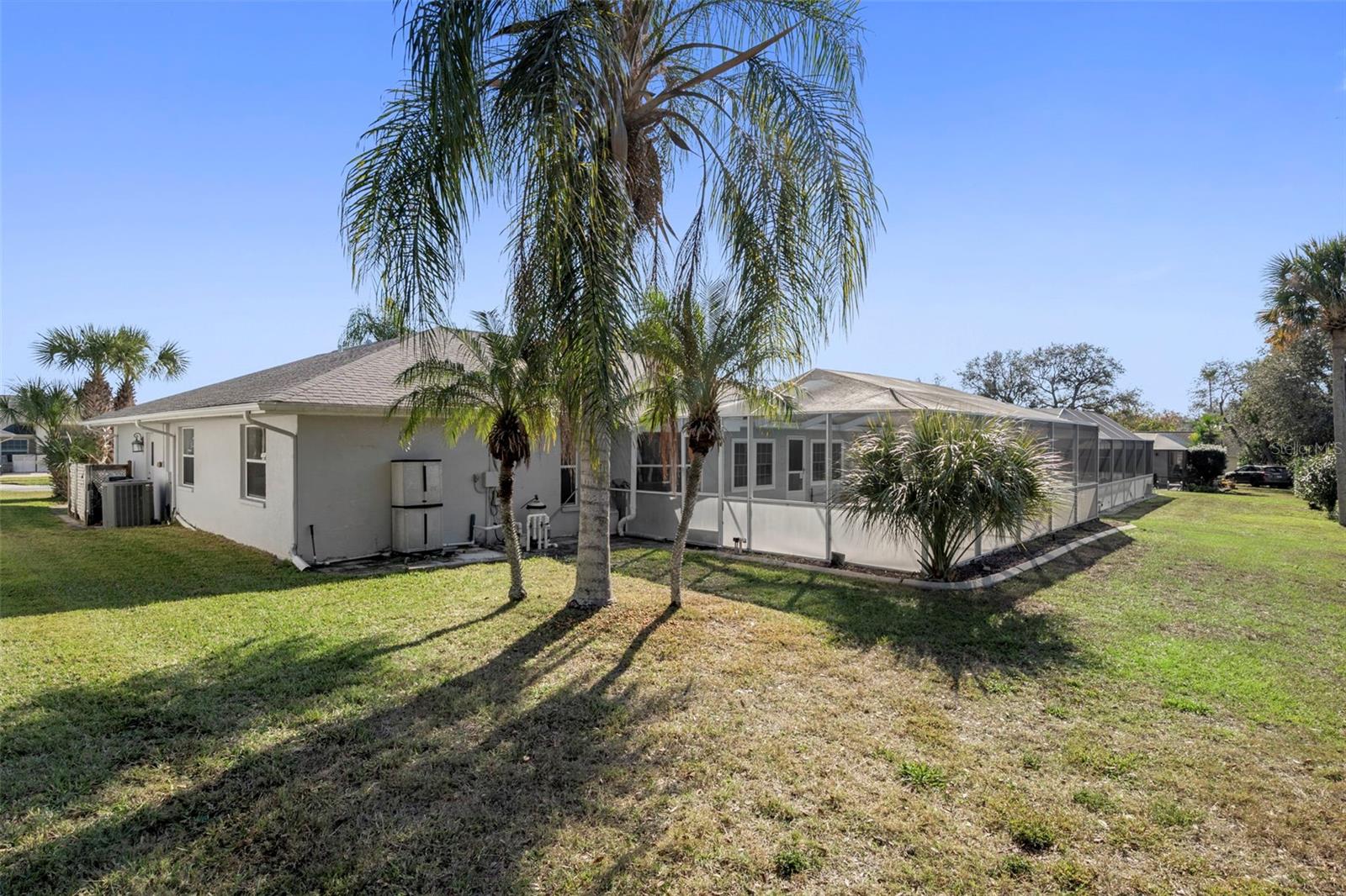 Backyard with beautiful palm trees on the left