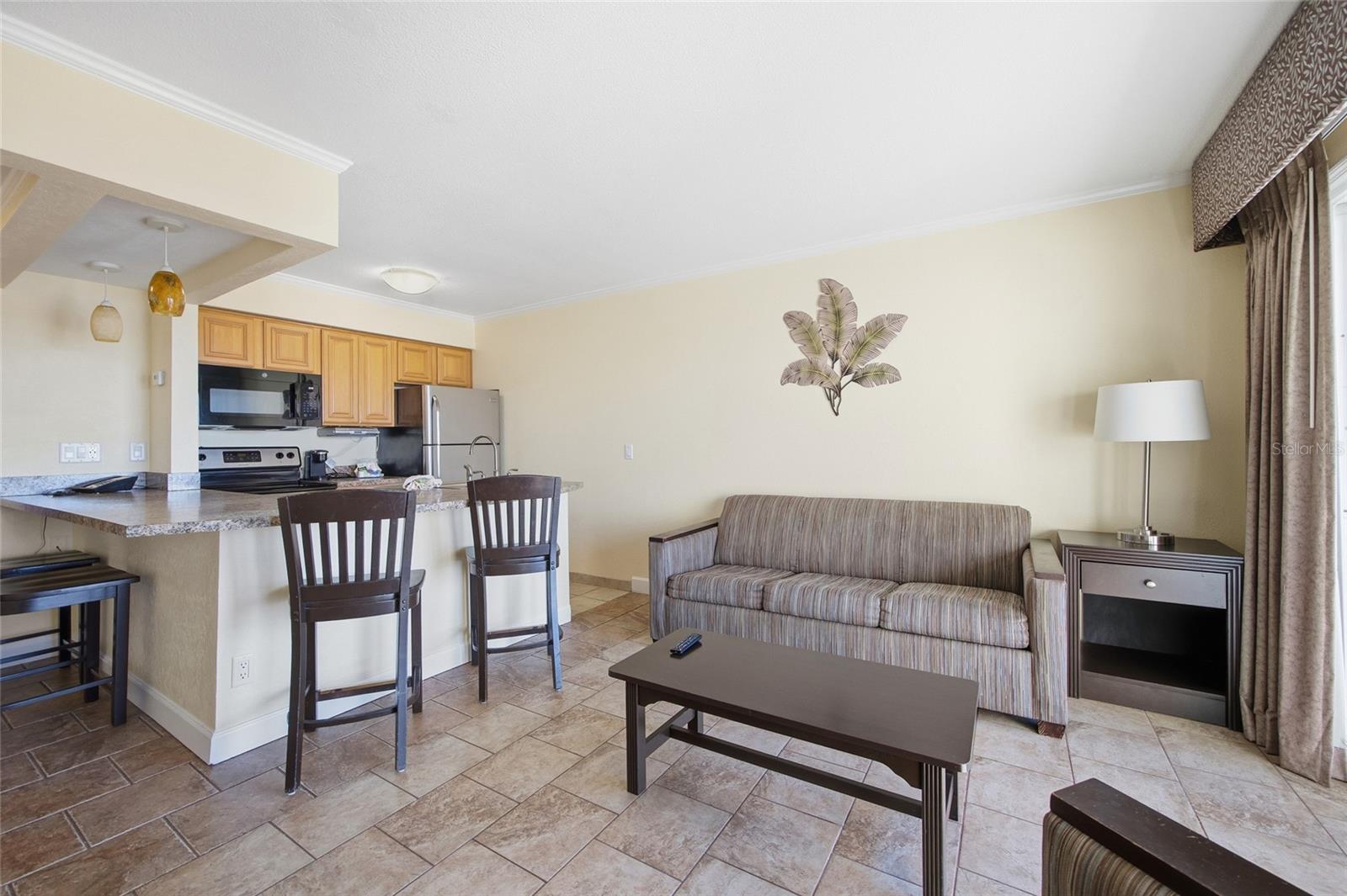 Kitchen and Living area