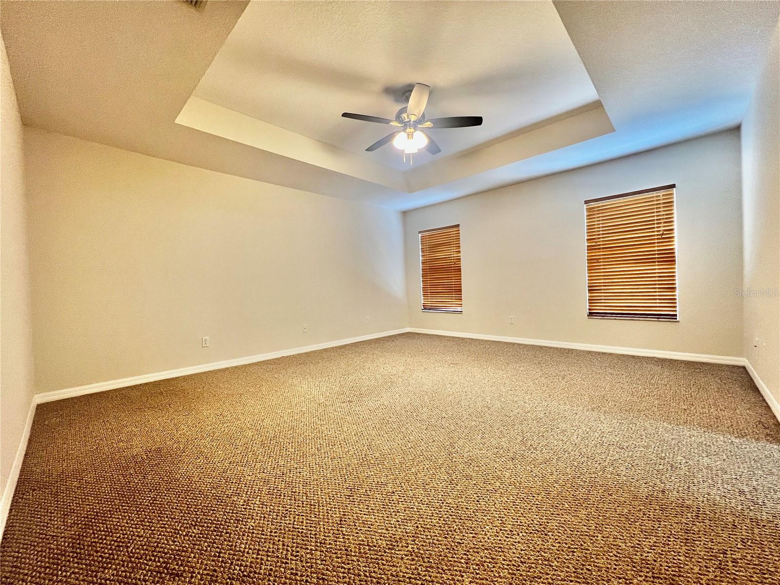The primary bedroom is HUGE and has a beautiful tray ceiling.