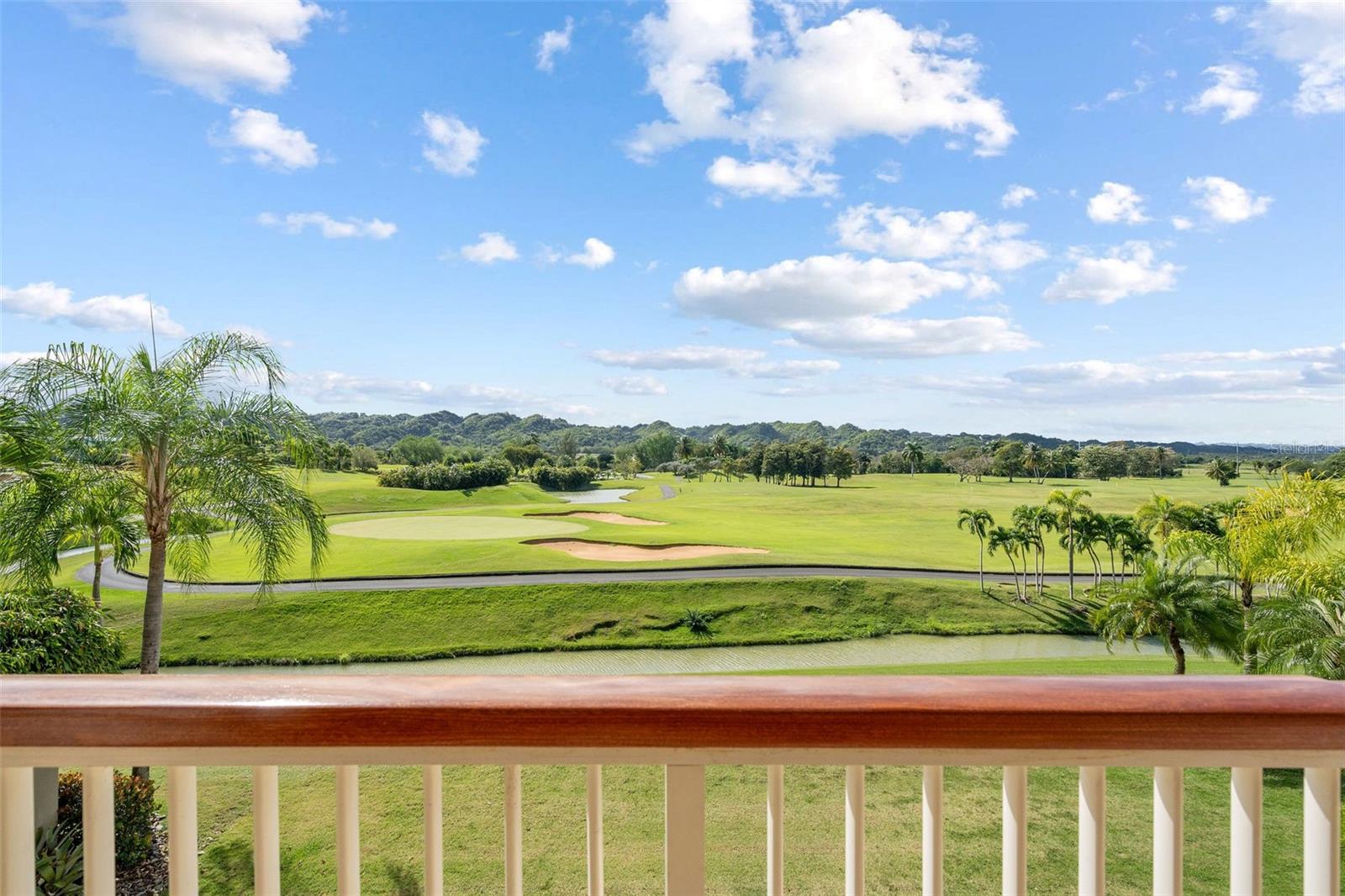 PR9118291 Property Photo