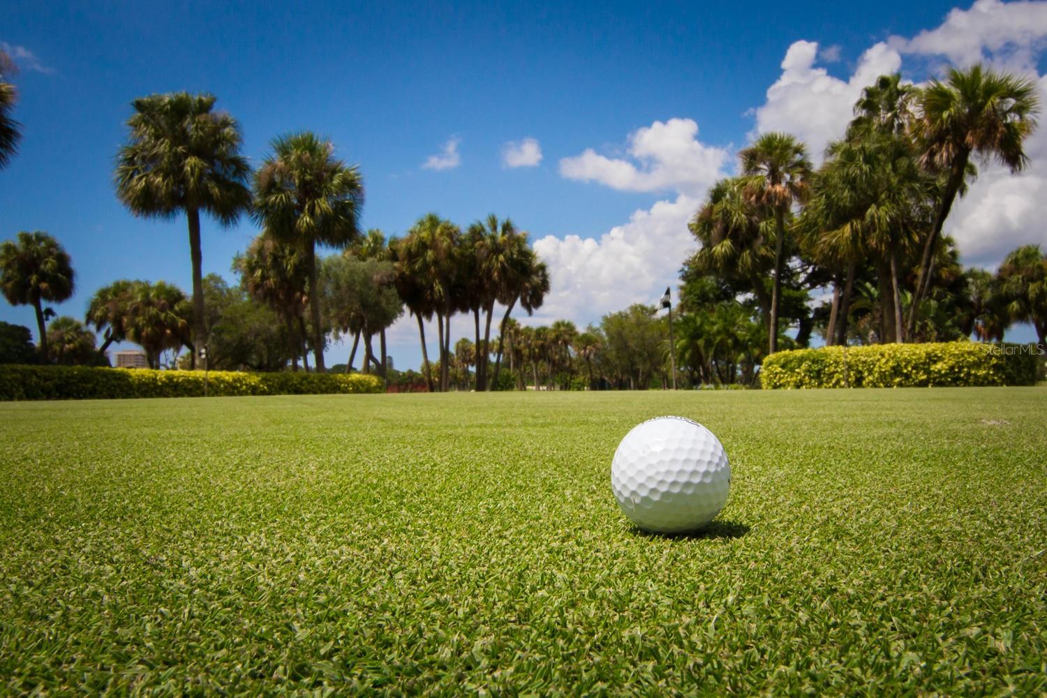 250 SANDS POINT RD #5106, LONGBOAT KEY, FL, 34228