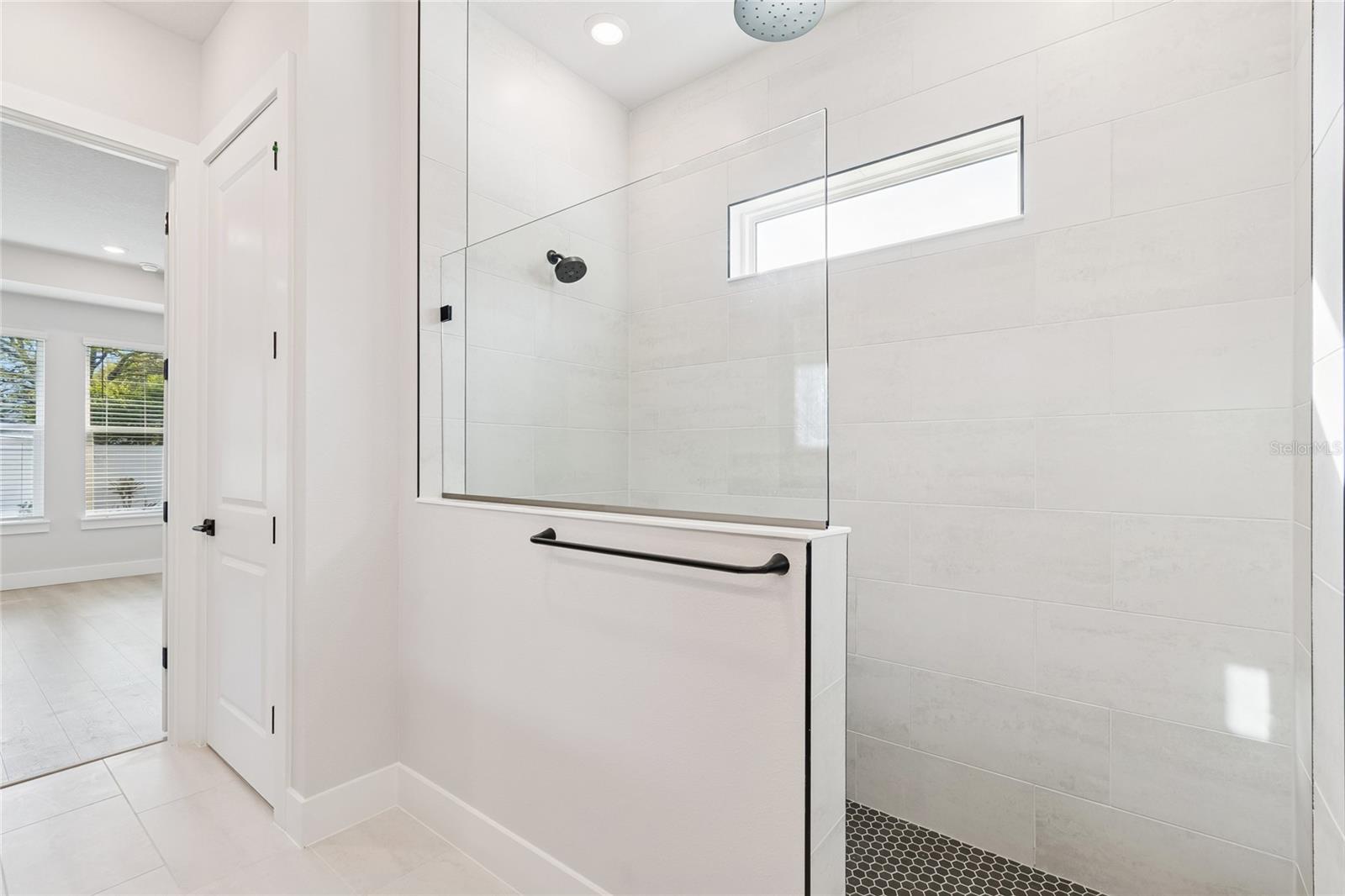 Owner's Bath