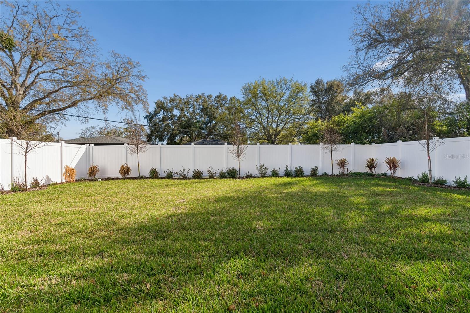 Backyard