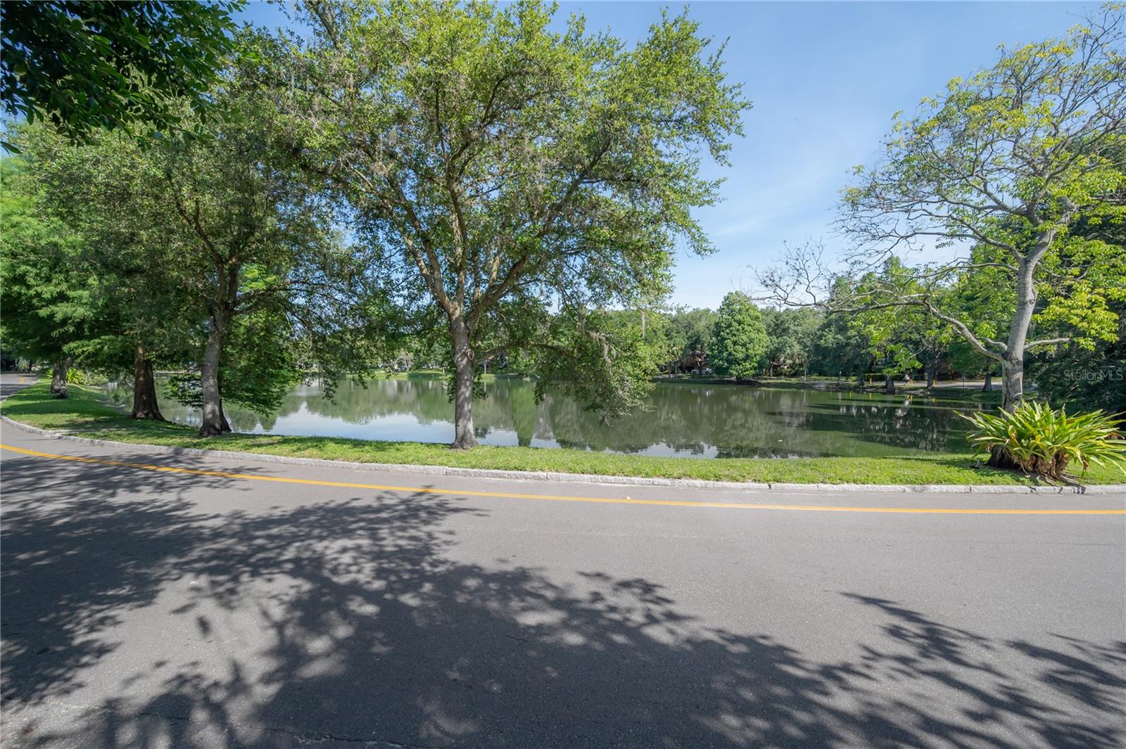 Hampton Terrace Neighborhood, Lake Roberta in Seminole Heights