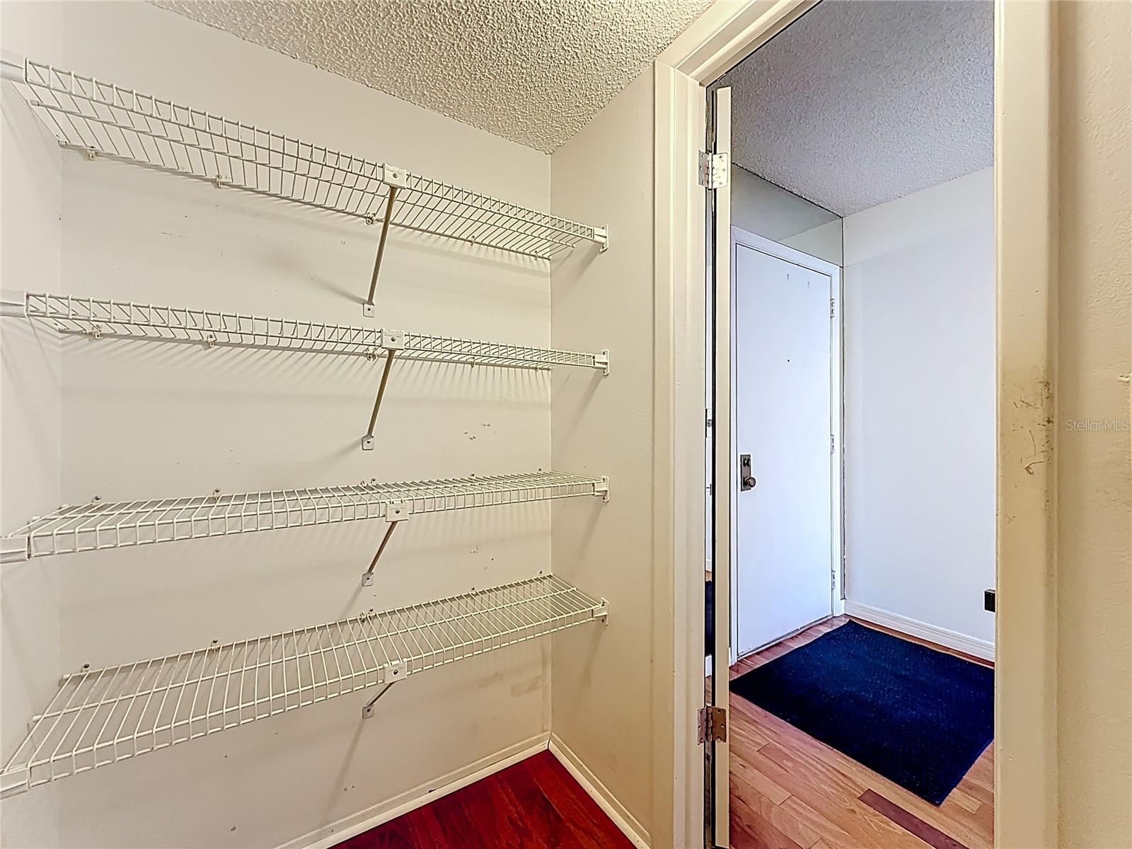 huge pantry closet off kitchen
