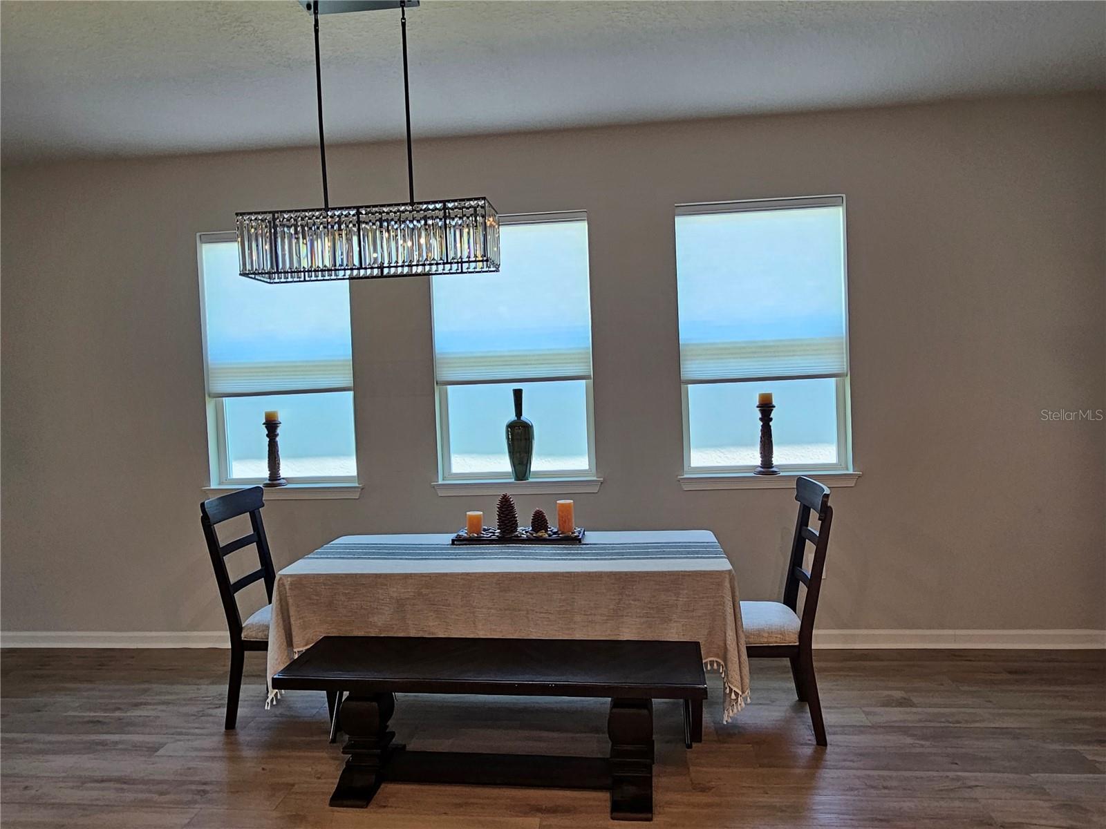 Dining room with new light fixture