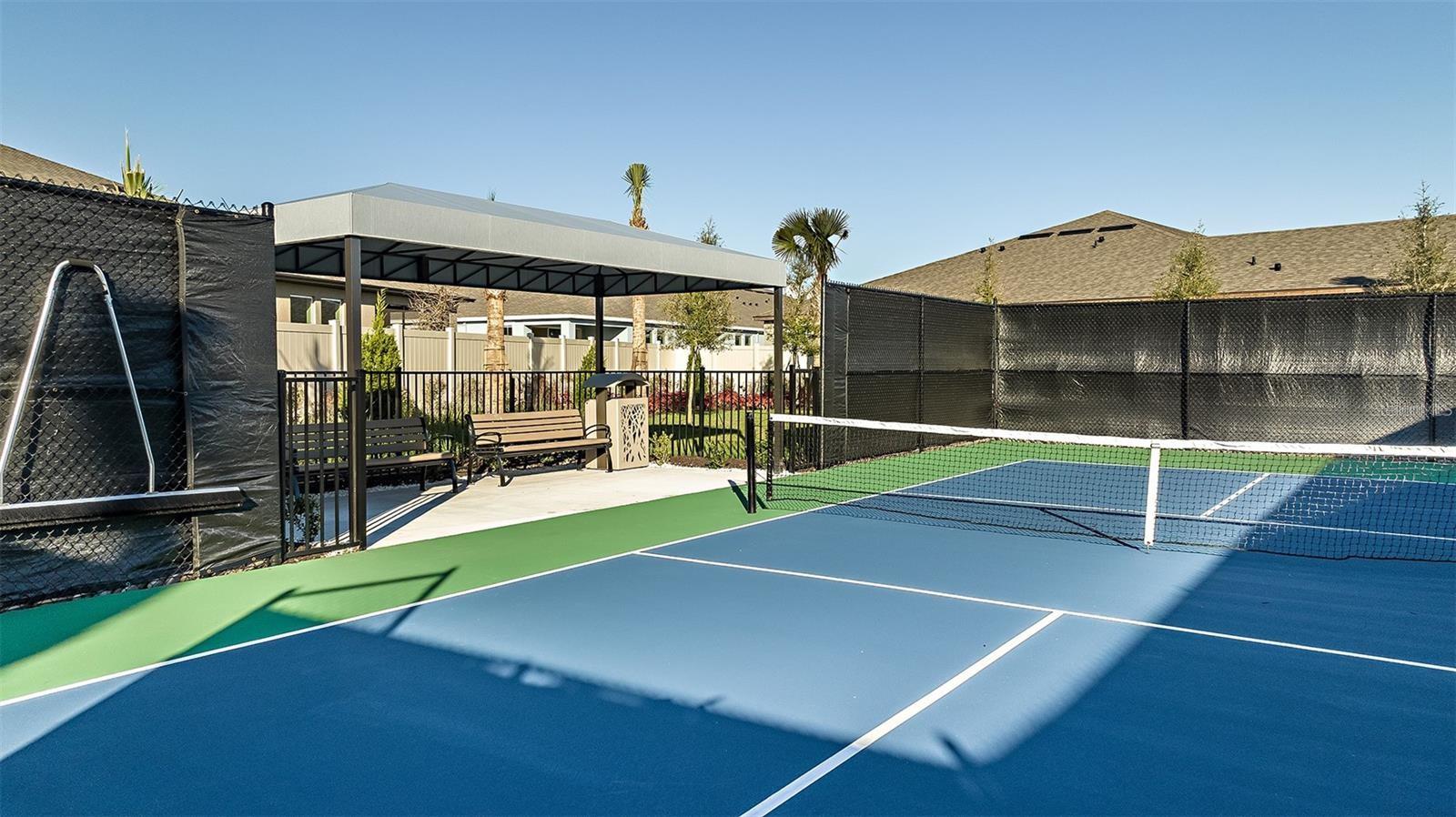Pickleball Court