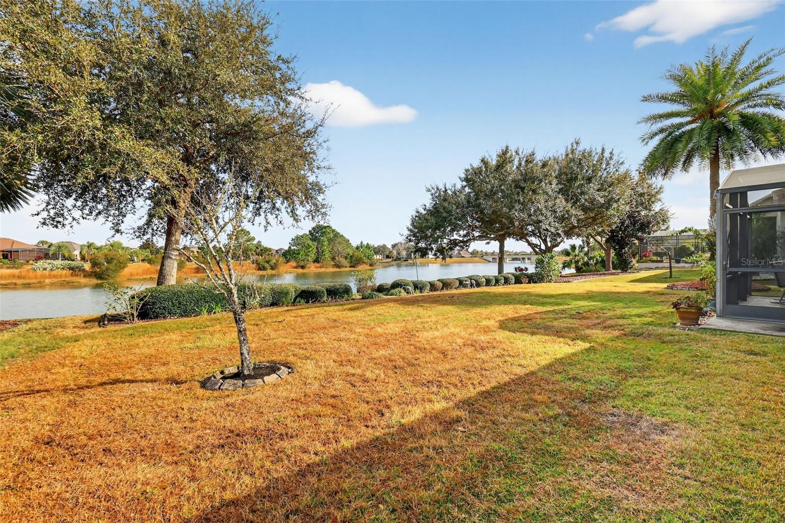 8916 BRIDGEPORT BAY CIR, MOUNT DORA, FL, 32757