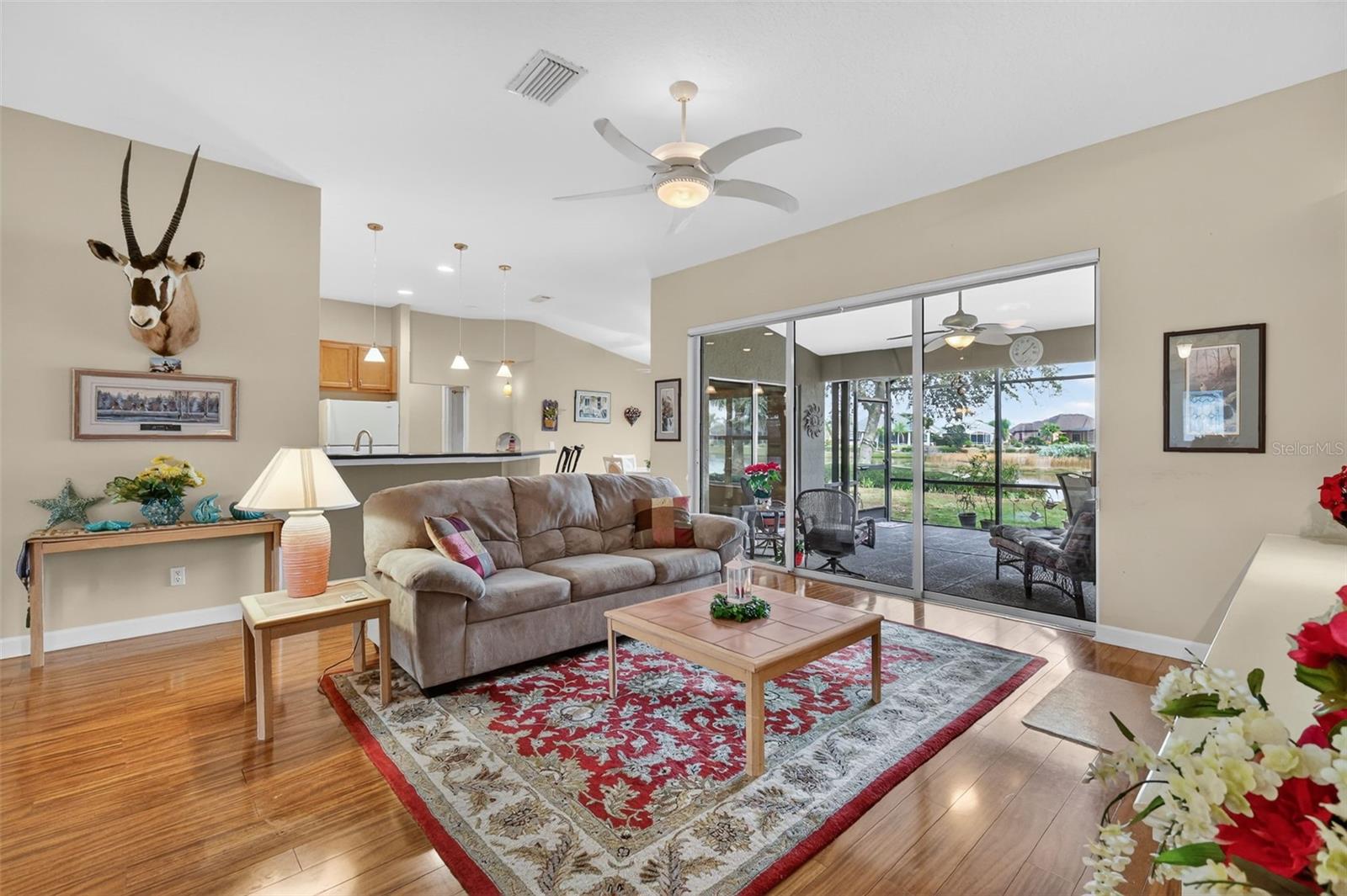 8916 BRIDGEPORT BAY CIR, MOUNT DORA, FL, 32757