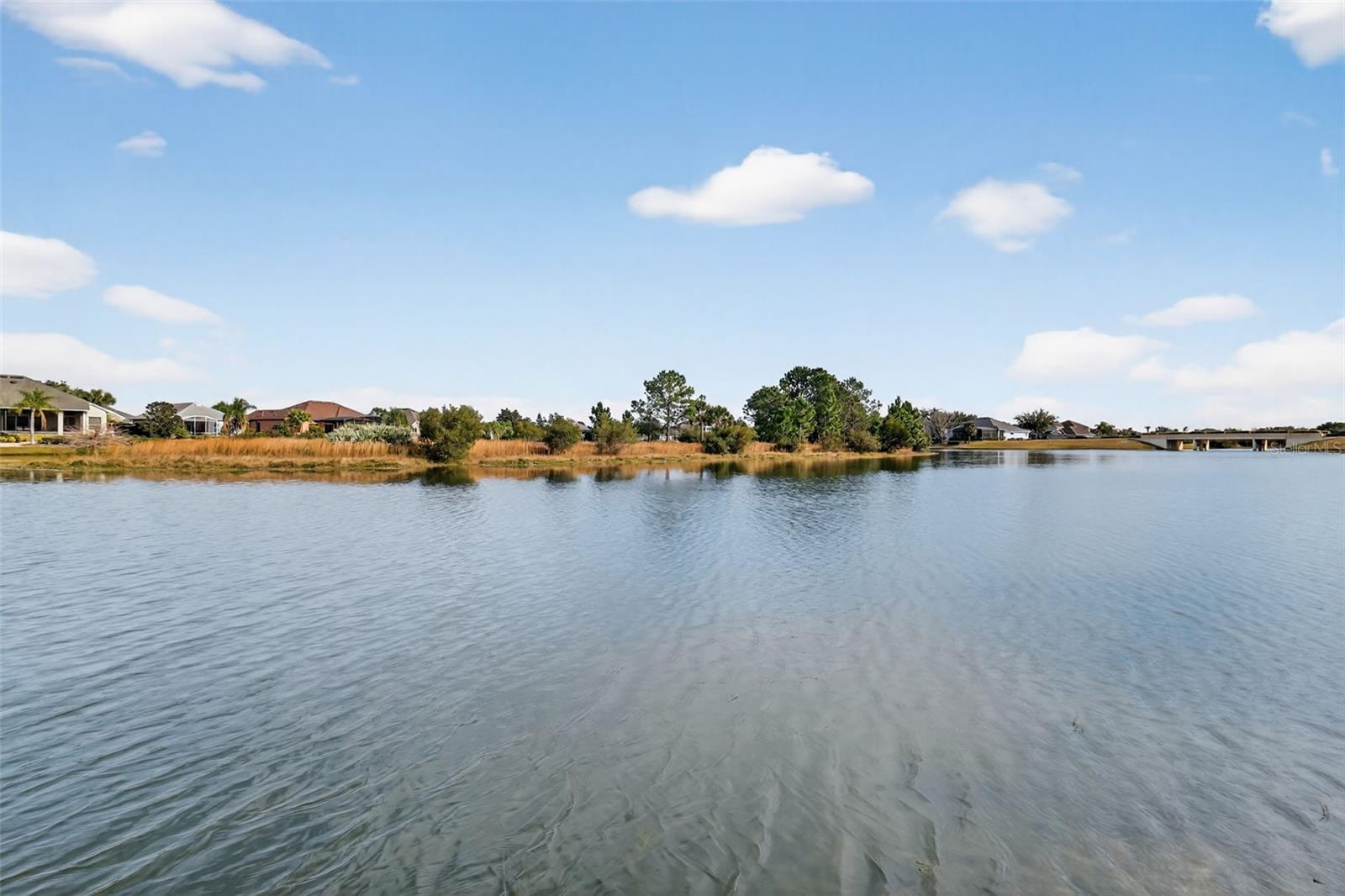 8916 BRIDGEPORT BAY CIR, MOUNT DORA, FL, 32757