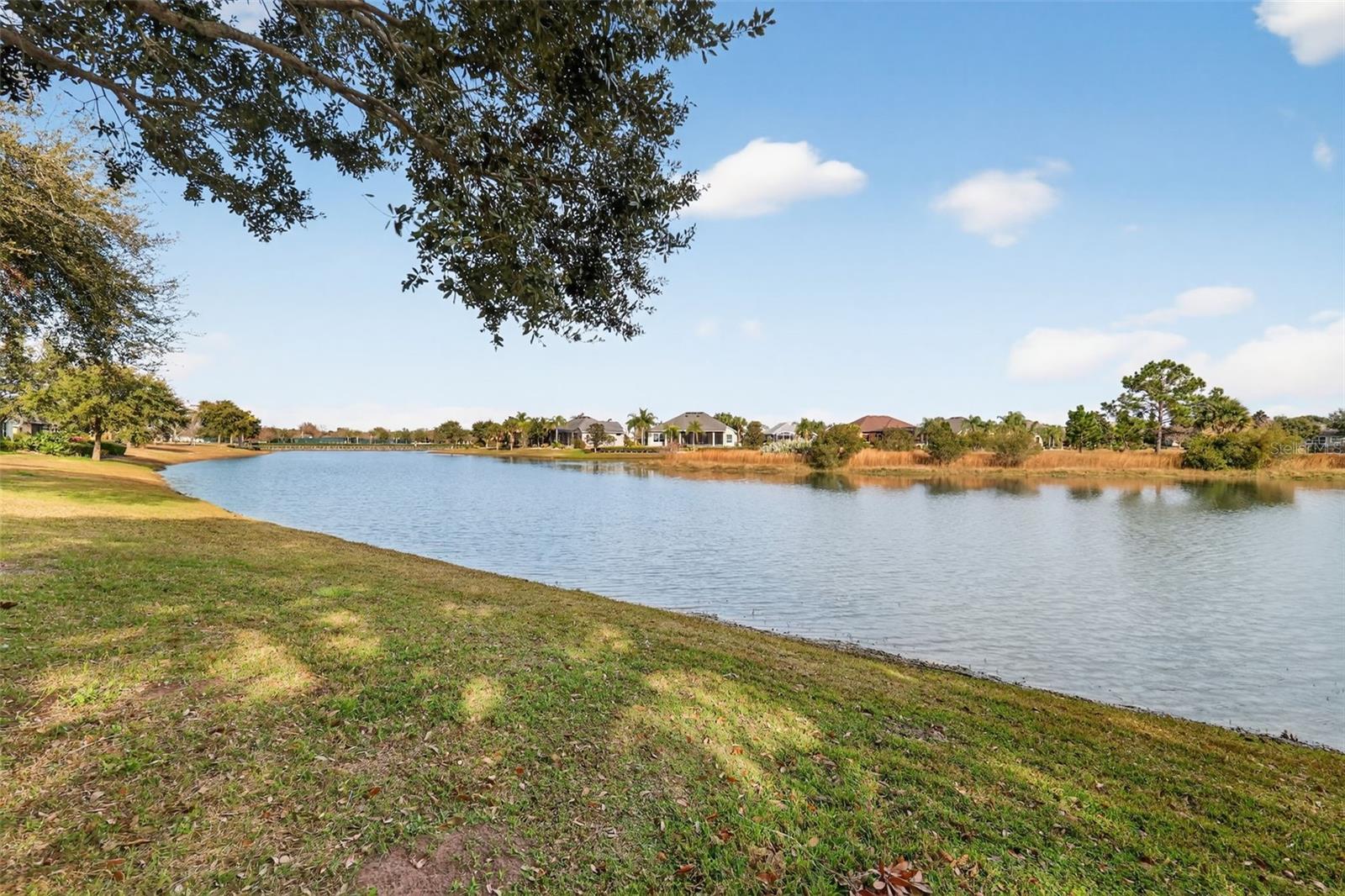 8916 BRIDGEPORT BAY CIR, MOUNT DORA, FL, 32757