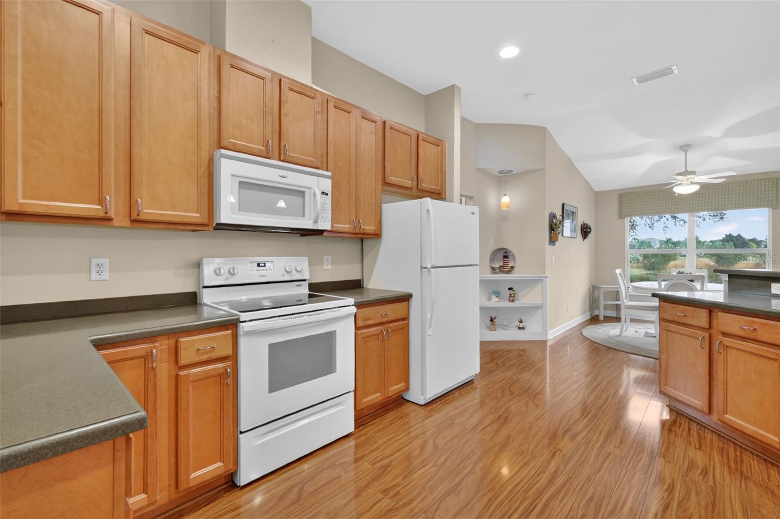 8916 BRIDGEPORT BAY CIR, MOUNT DORA, FL, 32757