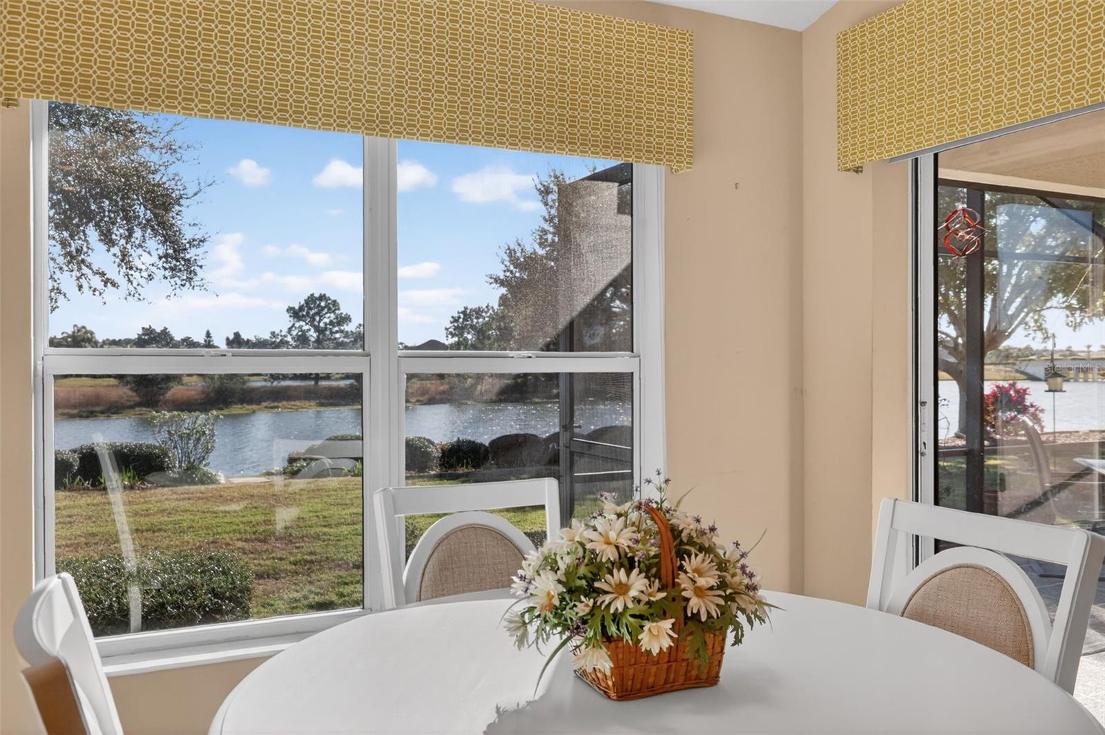 8916 BRIDGEPORT BAY CIR, MOUNT DORA, FL, 32757