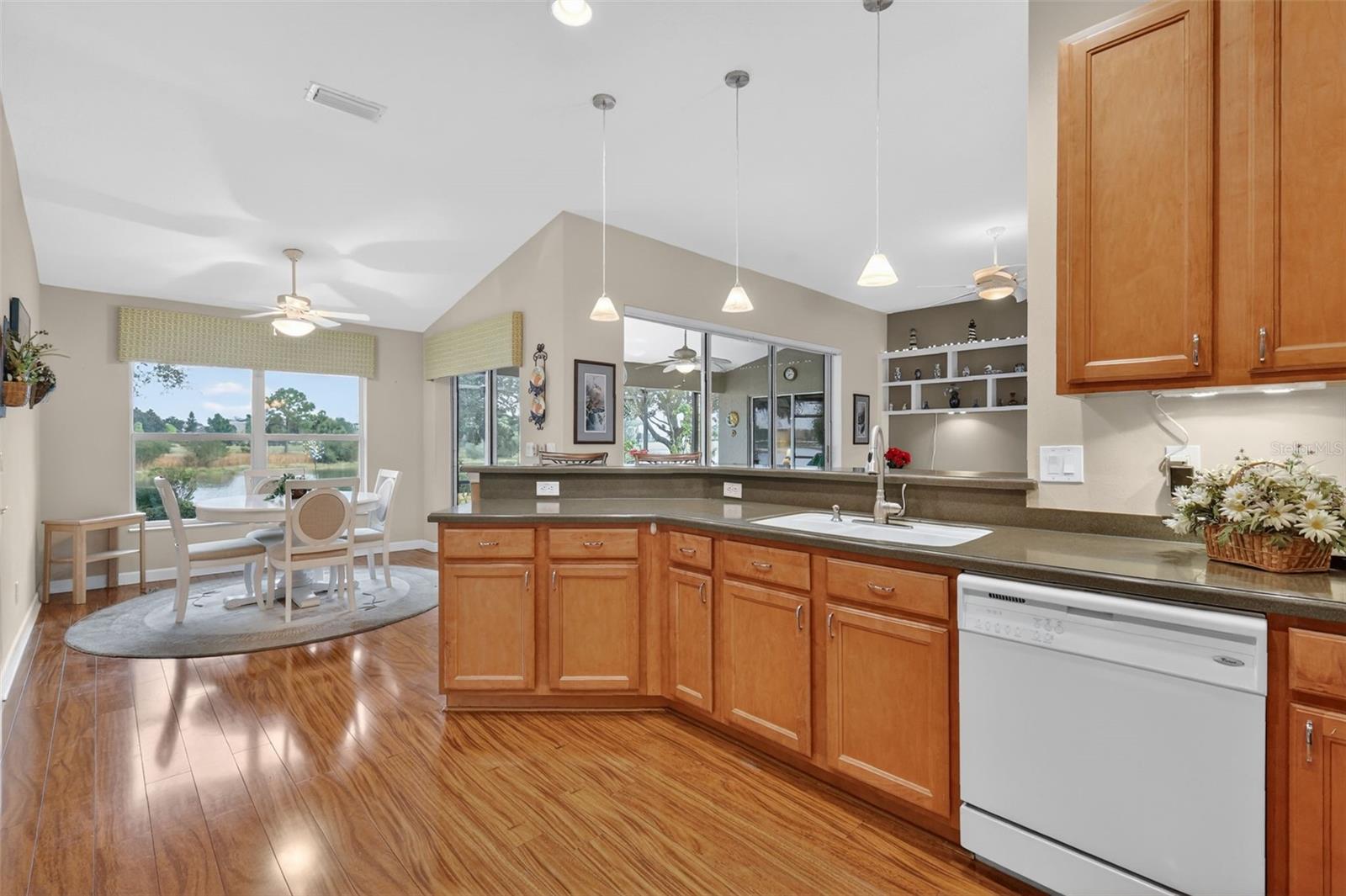 8916 BRIDGEPORT BAY CIR, MOUNT DORA, FL, 32757