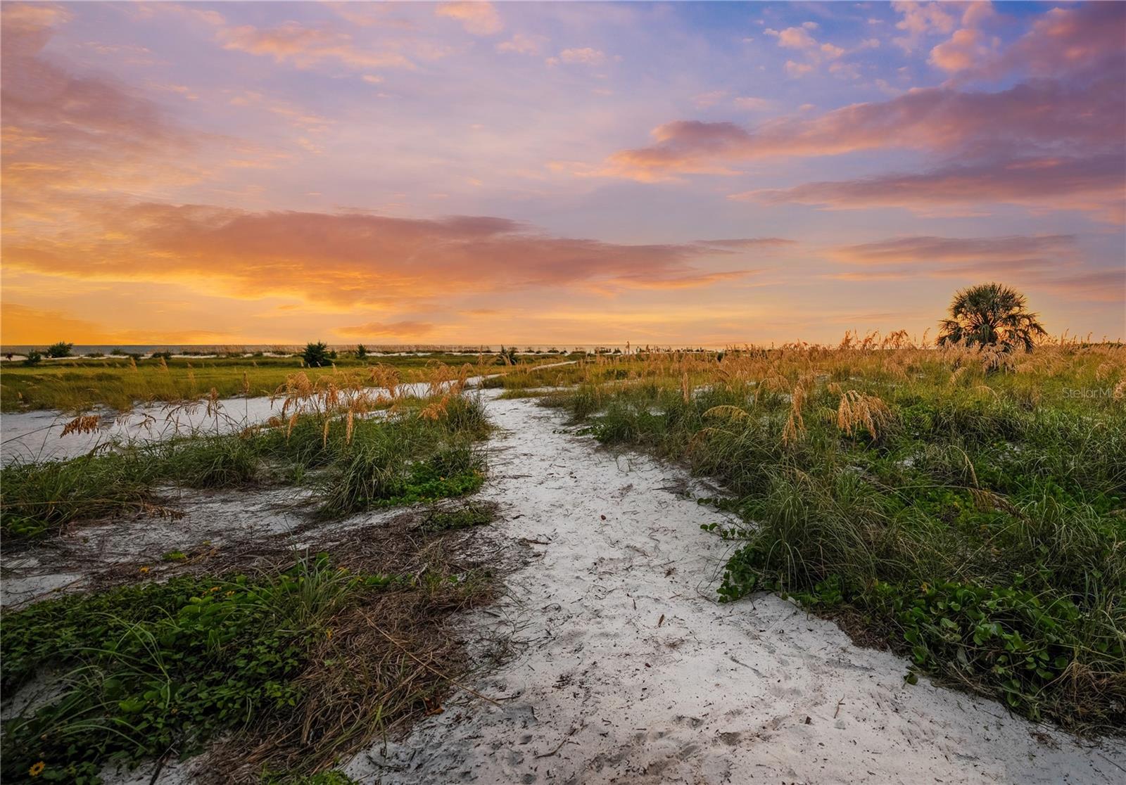 A4676858 Property Photo