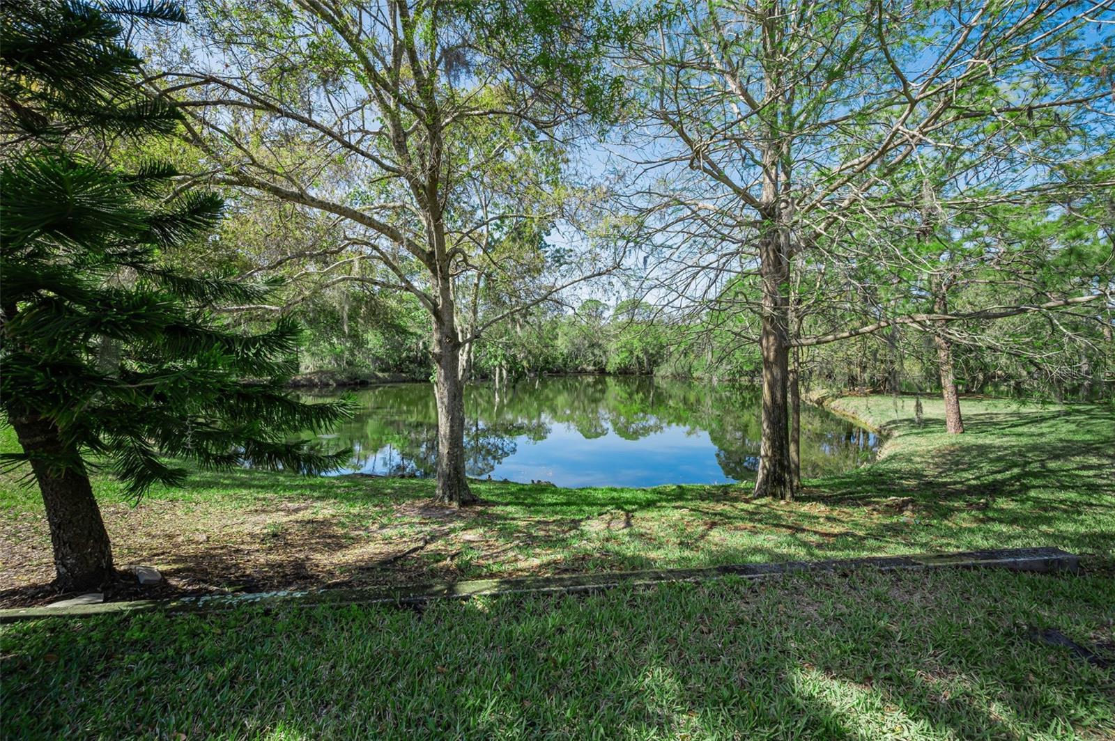 4738 PEBBLE BROOK DR, OLDSMAR, FL, 34677