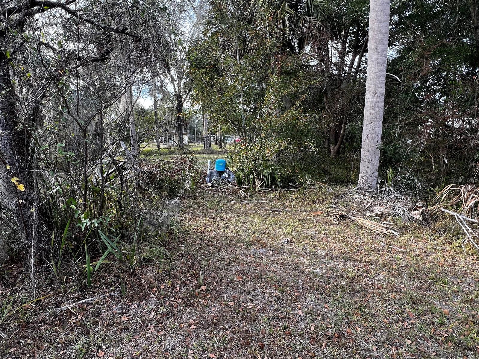 TB8460967 Property Photo