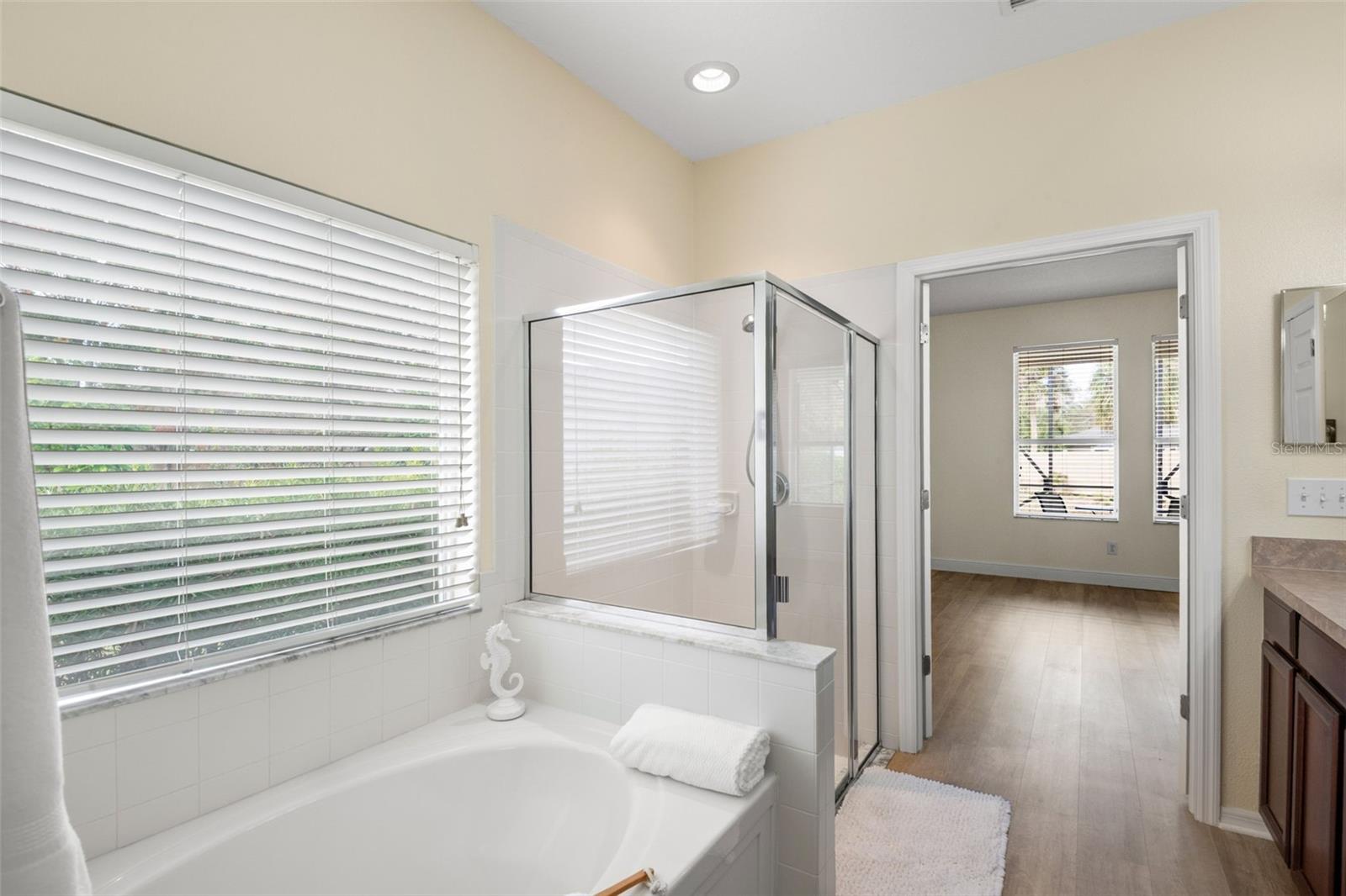 Step-in shower and separate soaking tub