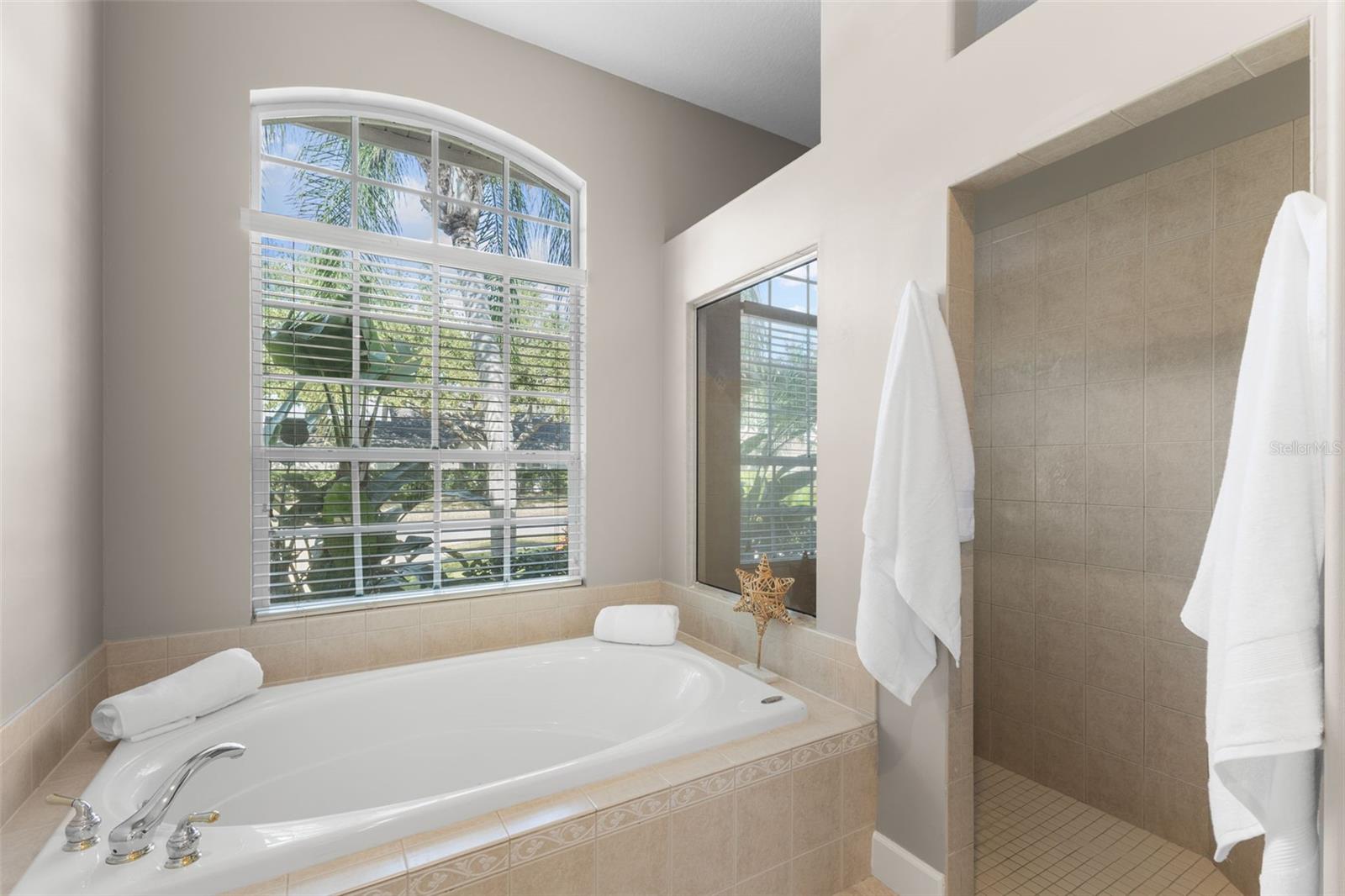 Wonderful soaking tub and step-in shower