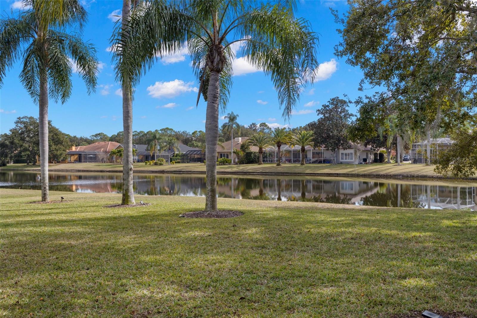 Pond views