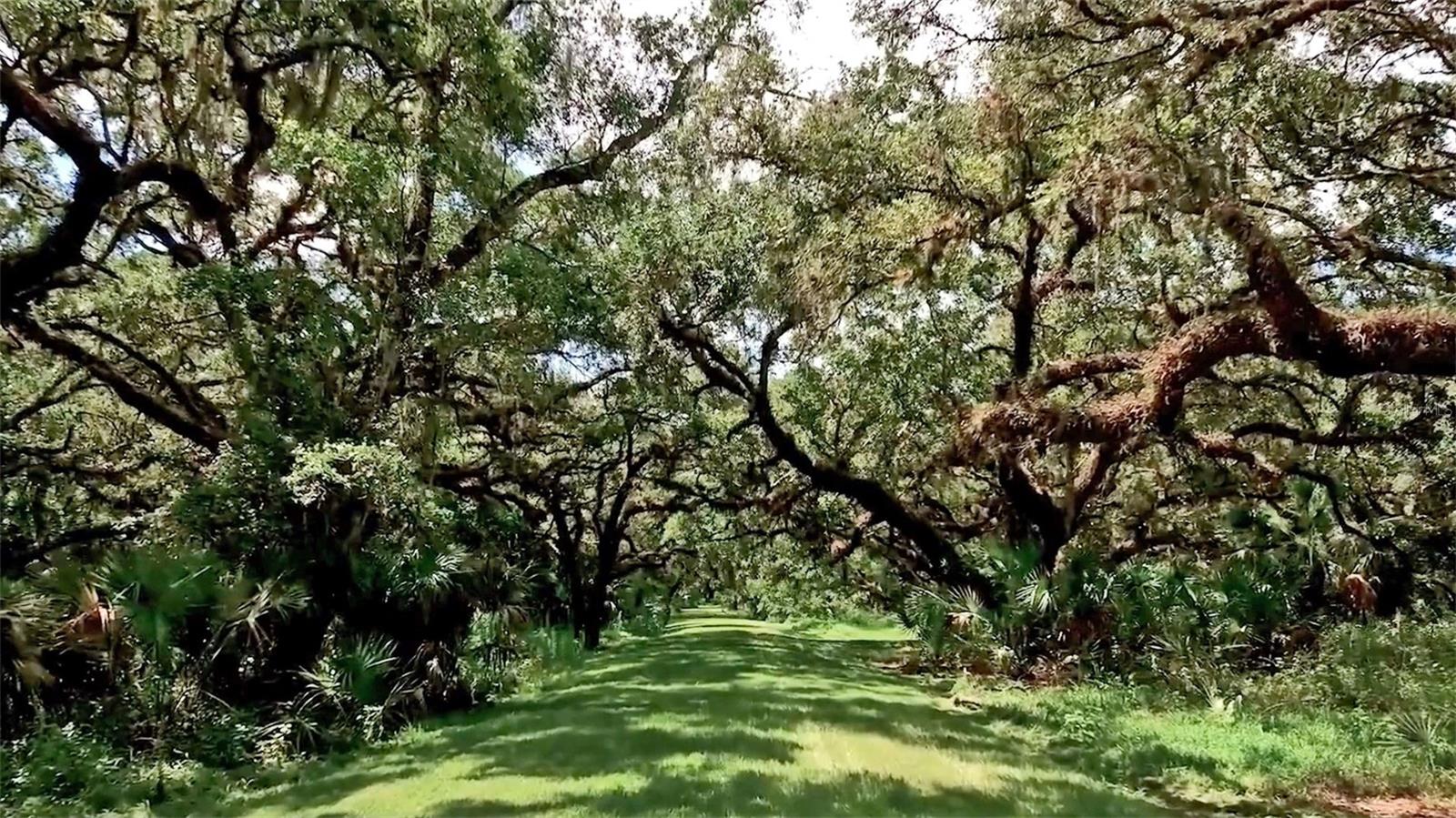 A4676962 Property Photo