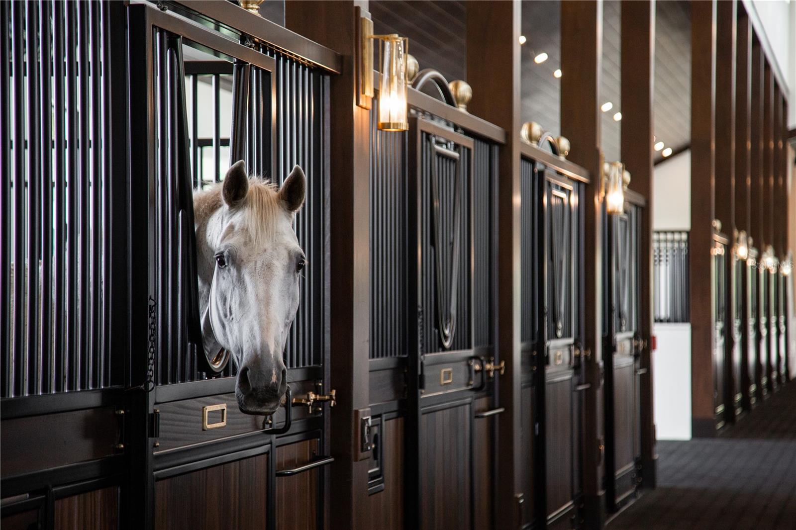 A4676962 Property Photo