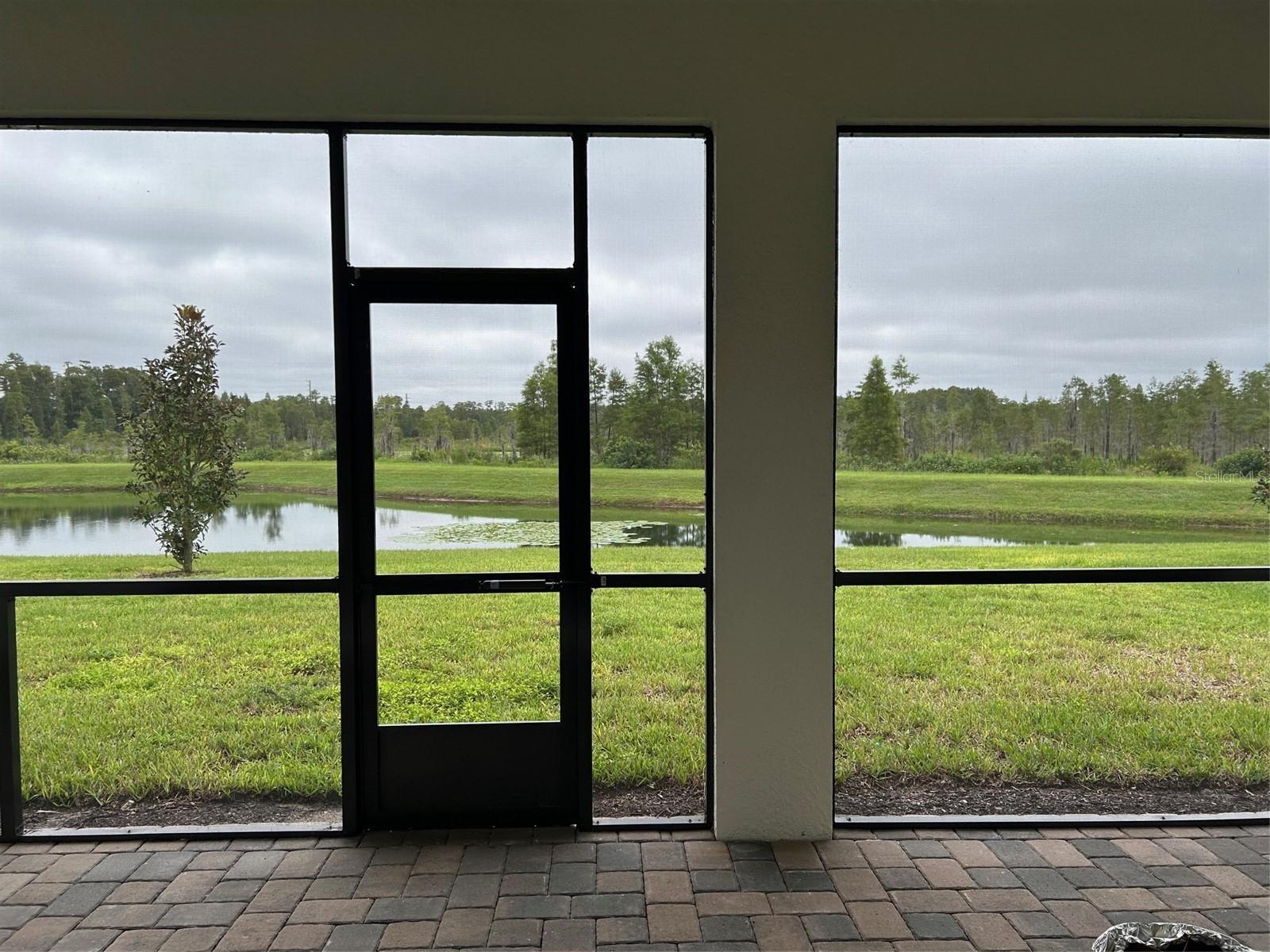 Backyard view to conservation area