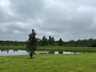 Backyard view to pond