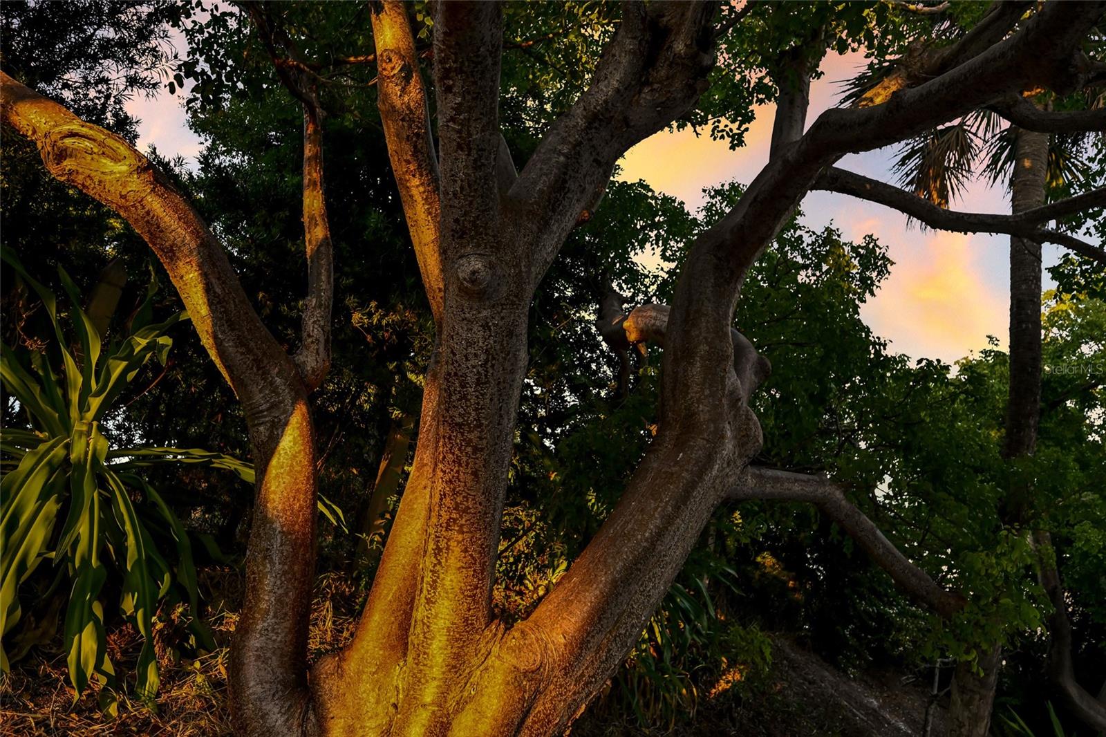 D6145442 Property Photo