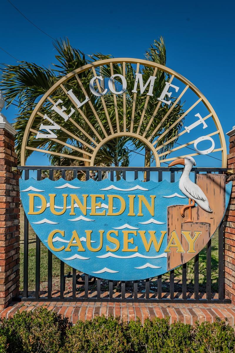 2539 GARY CIR #704, DUNEDIN, FL, 34698