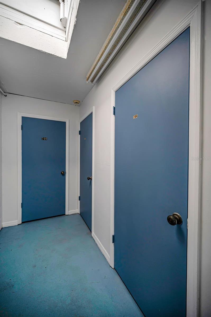 2539 GARY CIR #704, DUNEDIN, FL, 34698