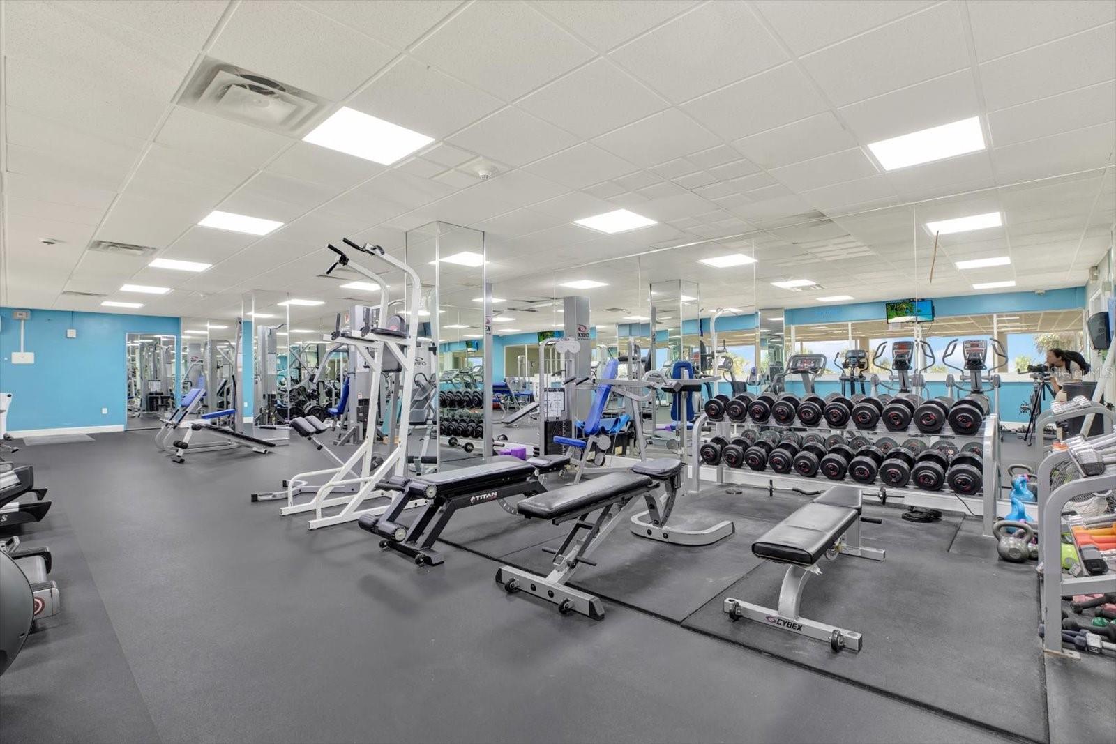 Watch Dolphins while you excersize