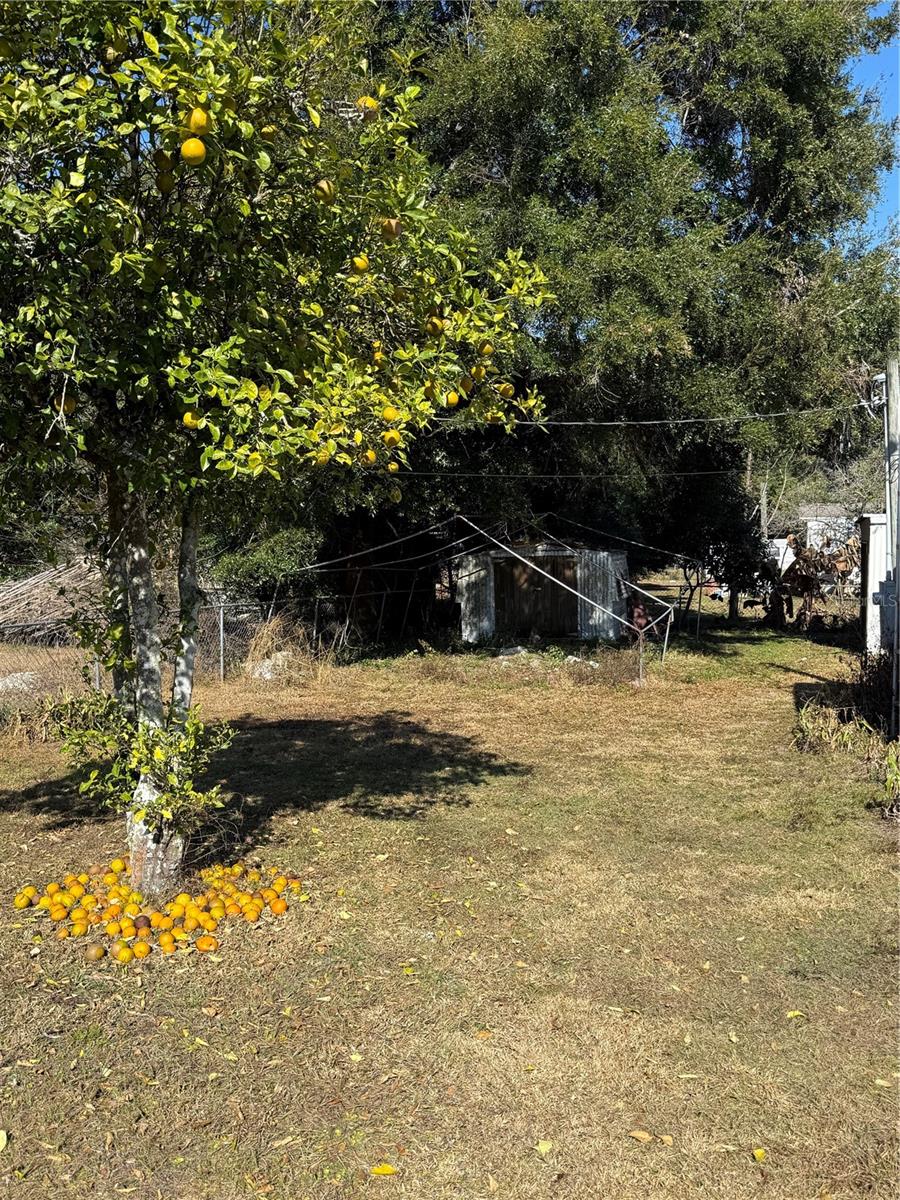 O6371515 Property Photo