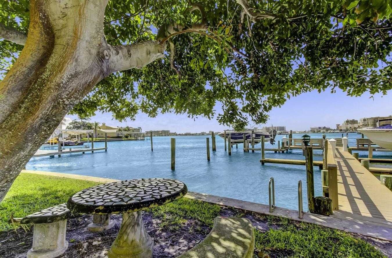 Community dock and marina.